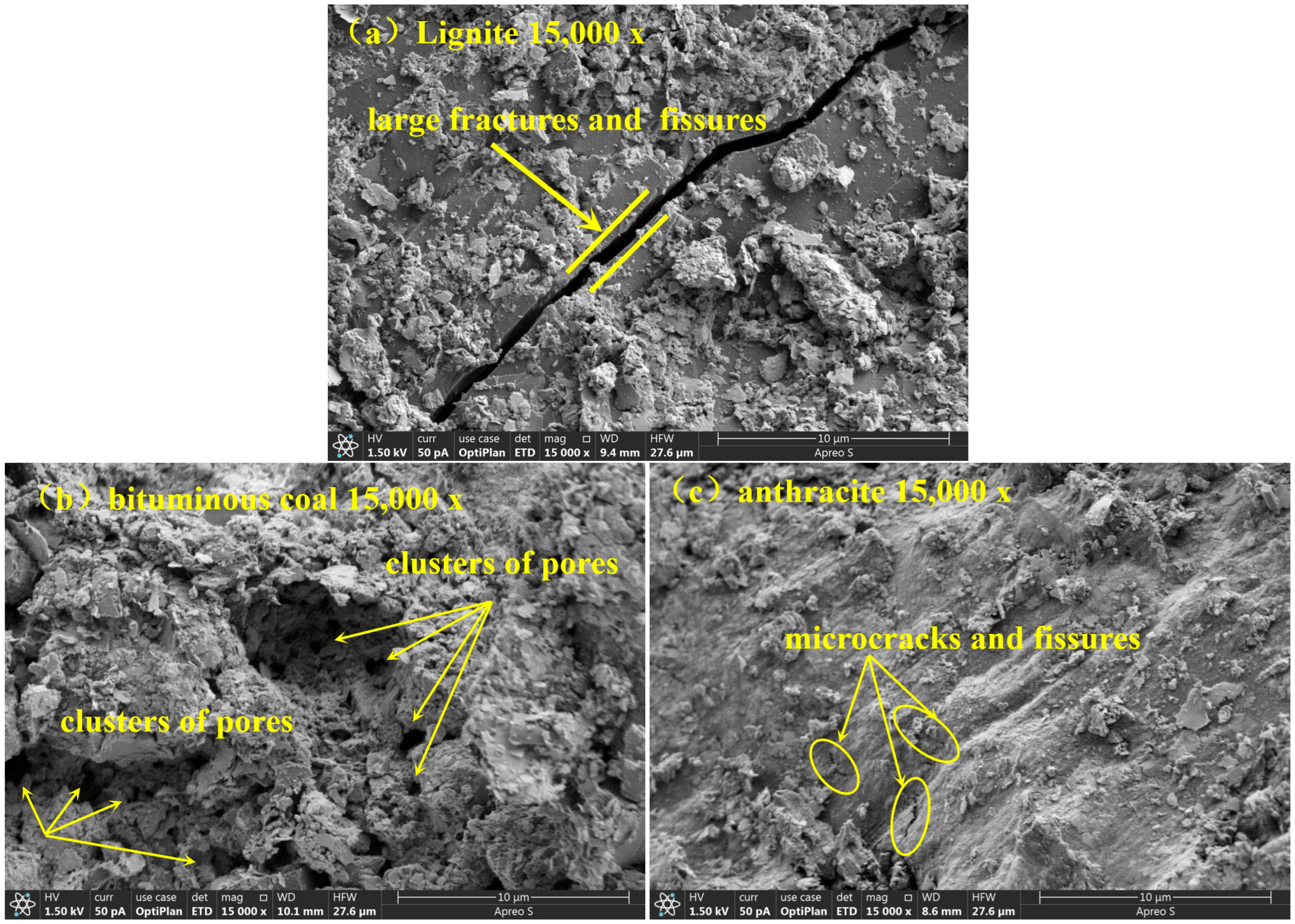 Coatings 16 01041 g012