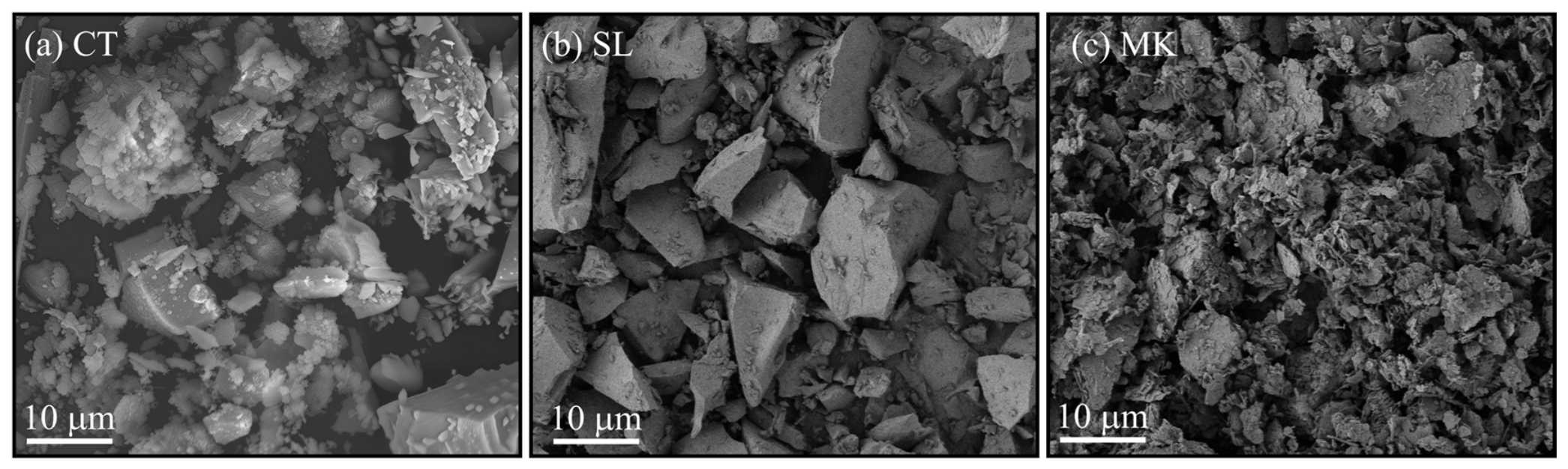 Coatings 16 01045 g001