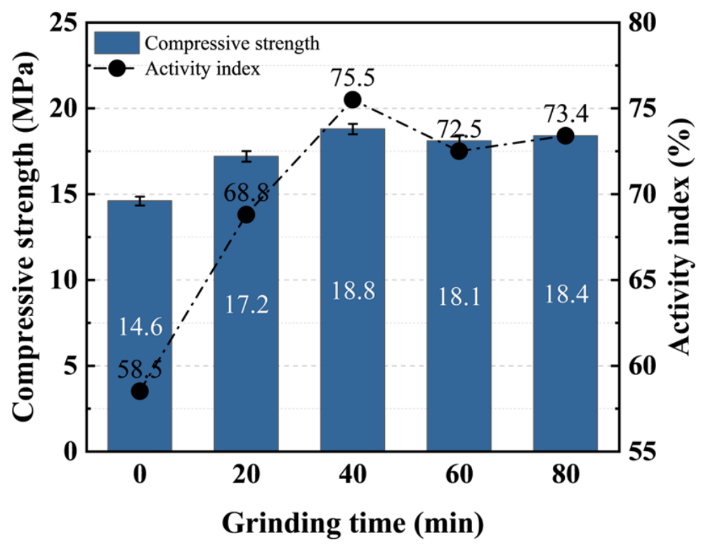 Coatings 16 01045 g007