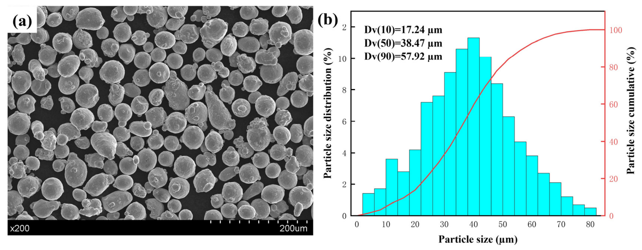 Coatings 16 01101 g001 Coatings 16 01101 g001