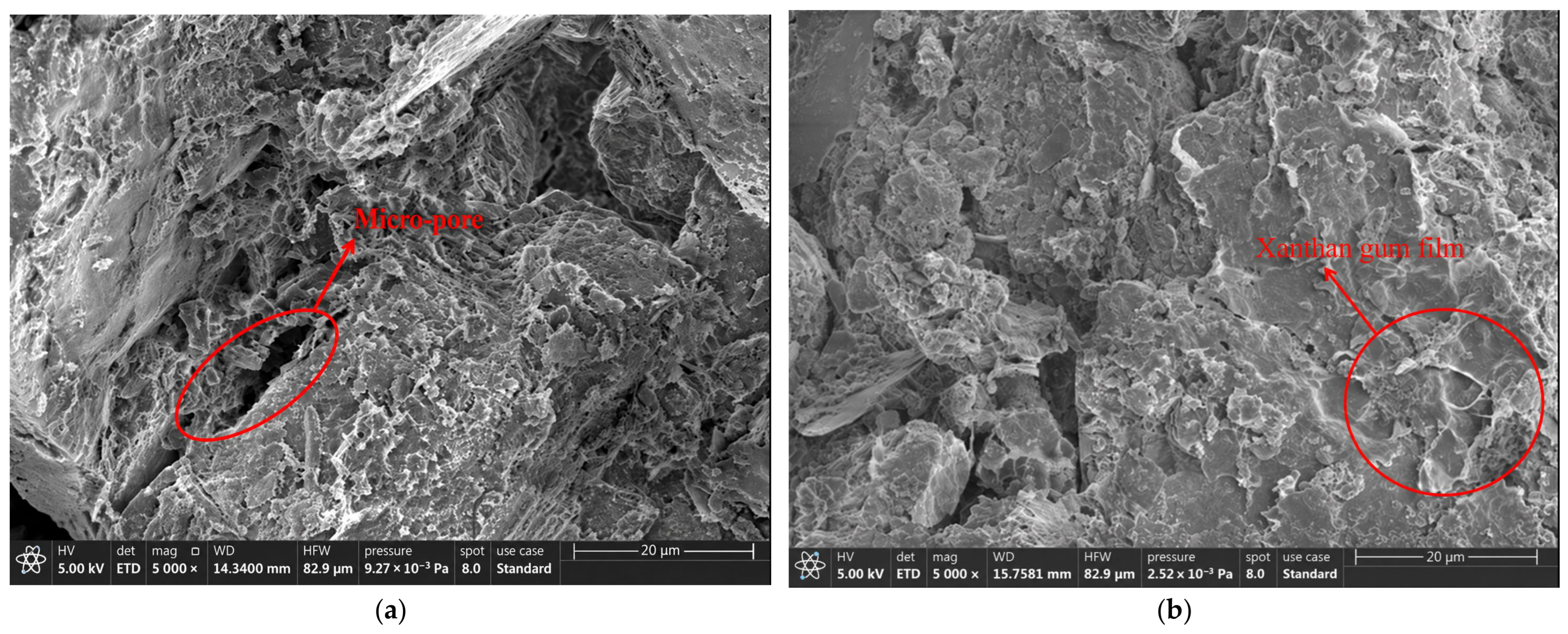 Coatings 16 01107 g012 Coatings 16 01107 g012