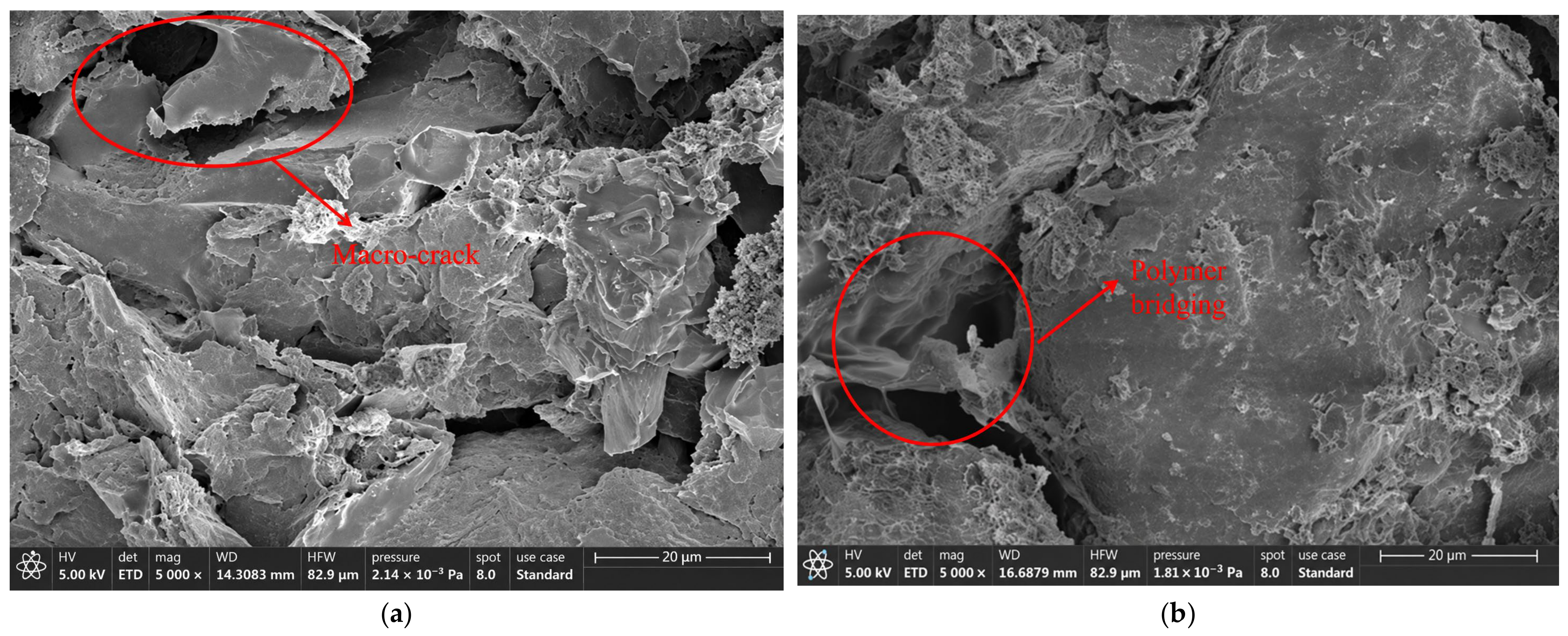 Coatings 16 01107 g013 Coatings 16 01107 g013