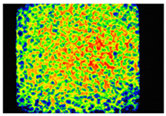 Coatings 16 01109 i013 Coatings 16 01109 i013