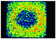 Coatings 16 01109 i018 Coatings 16 01109 i018