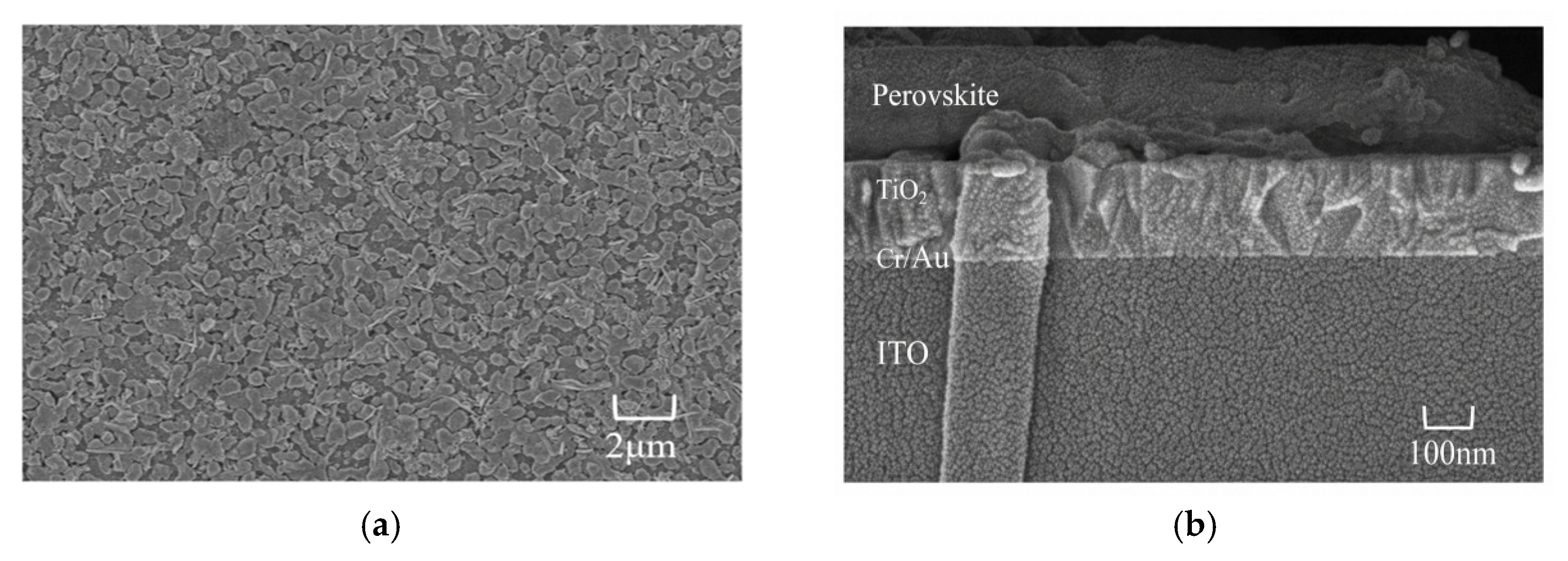 Coatings 16 01137 g004 Coatings 16 01137 g004