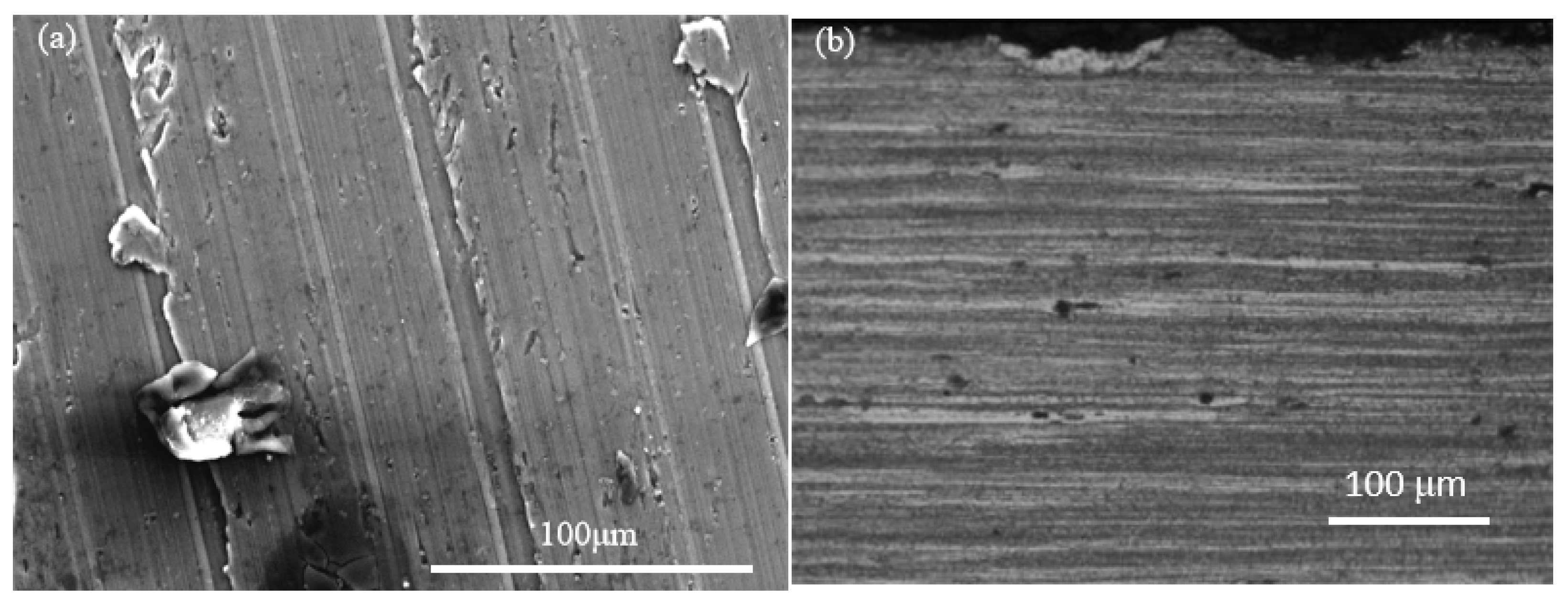 Coatings 16 01157 g002 Coatings 16 01157 g002