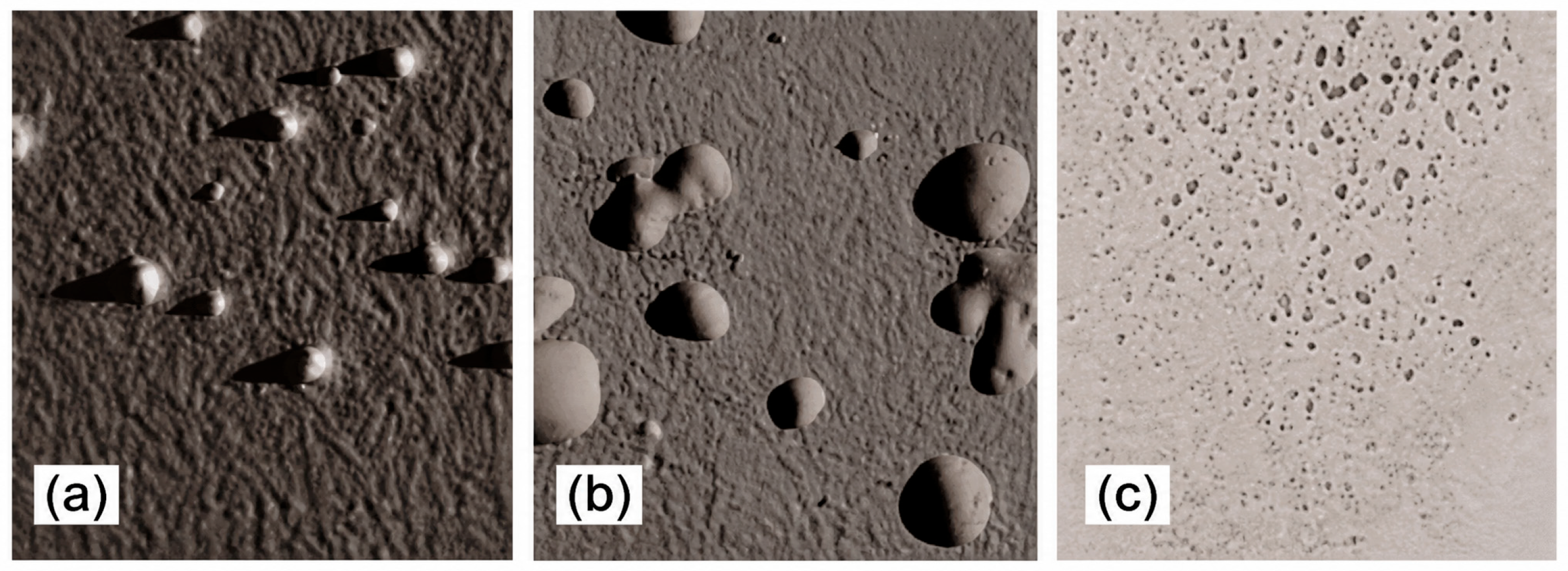 Coatings 16 01159 g003 Coatings 16 01159 g003