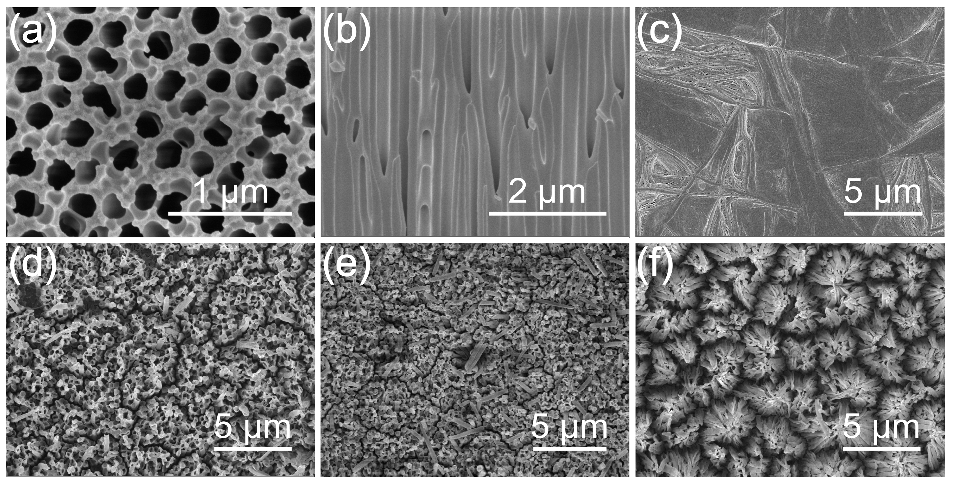 Coatings 16 01173 g002 Coatings 16 01173 g002