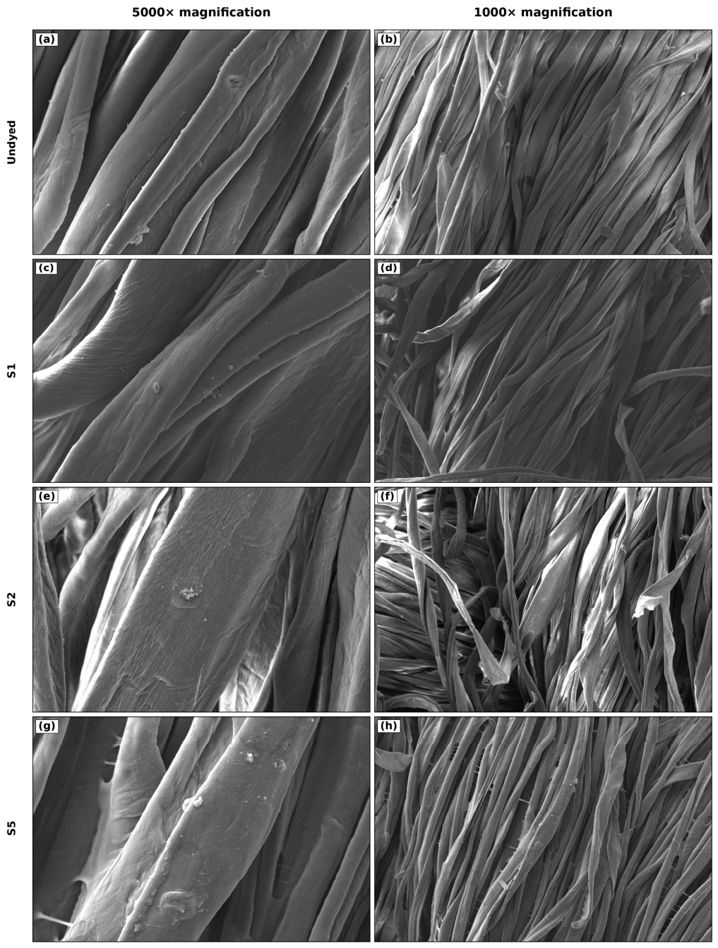 Coatings 16 01174 g003
