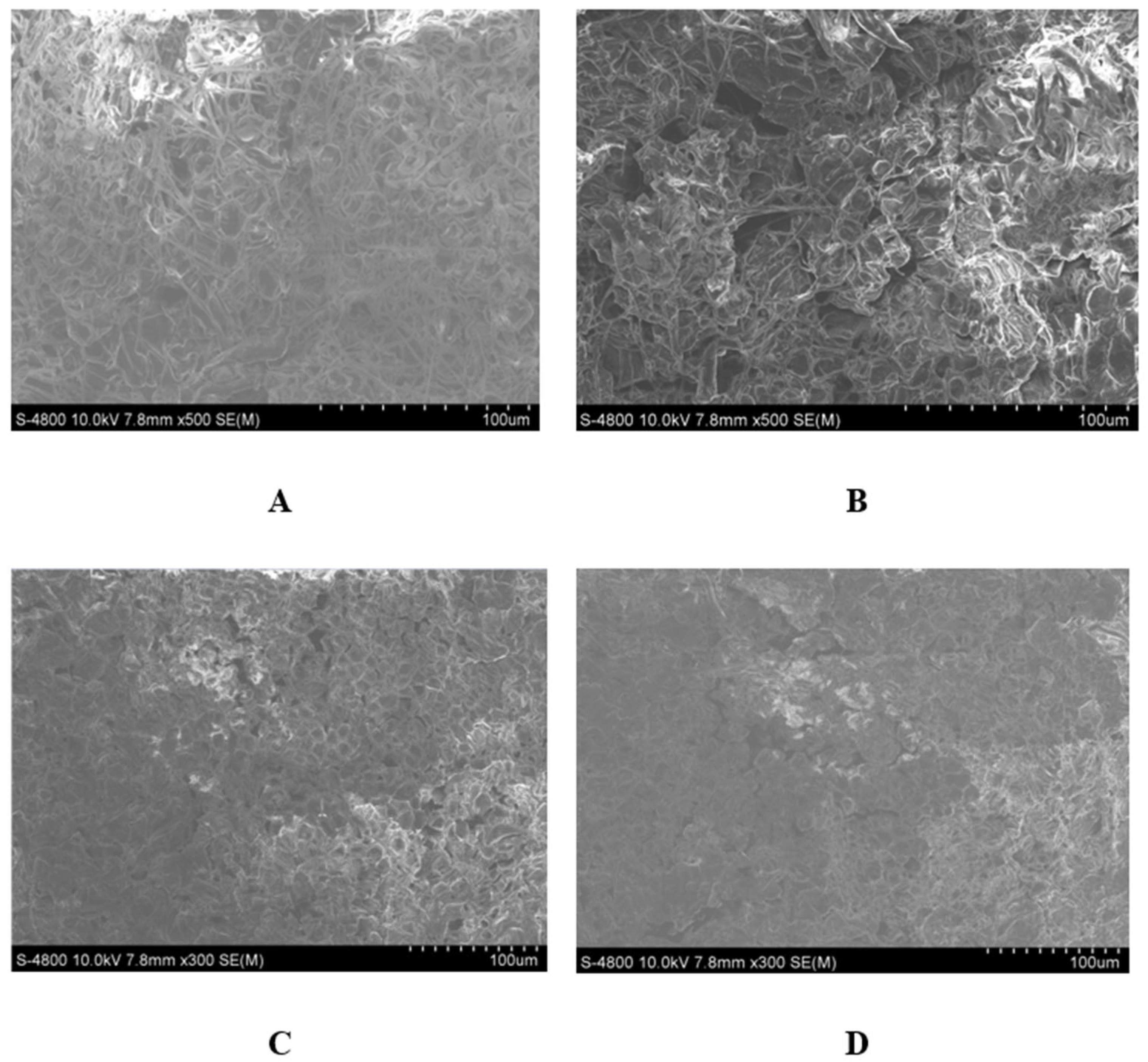 Coatings 16 01175 g004 Coatings 16 01175 g004