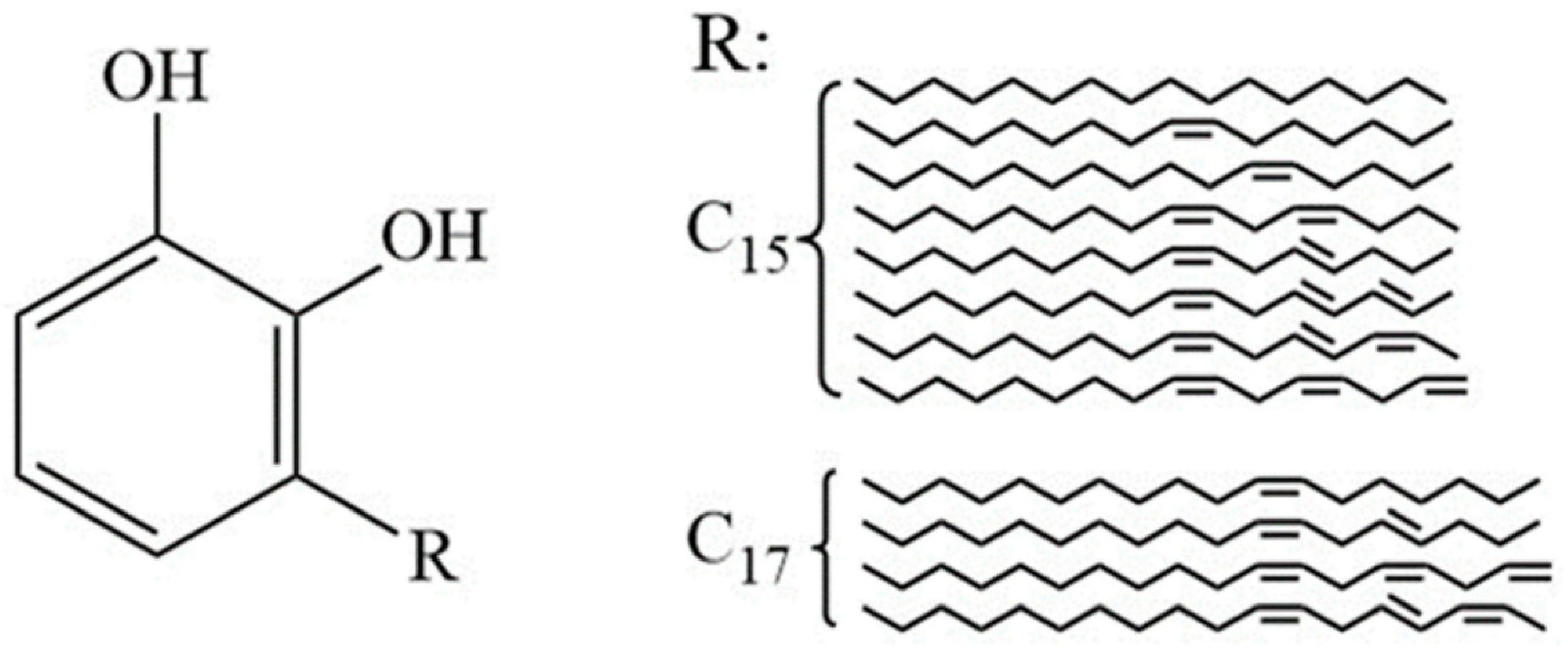 Coatings 16 01224 g001 Coatings 16 01224 g001