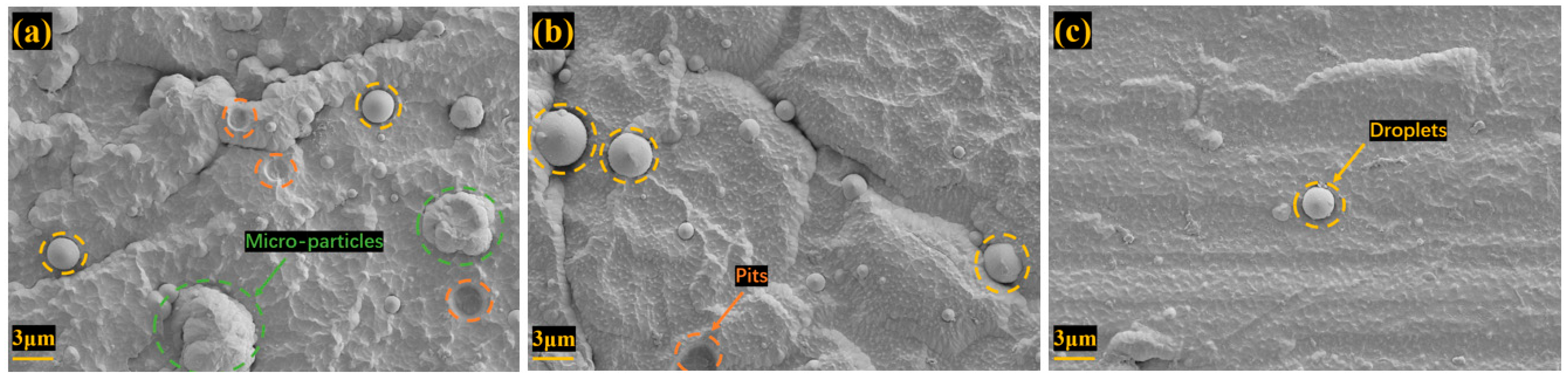 Coatings 16 01231 g003 Coatings 16 01231 g003