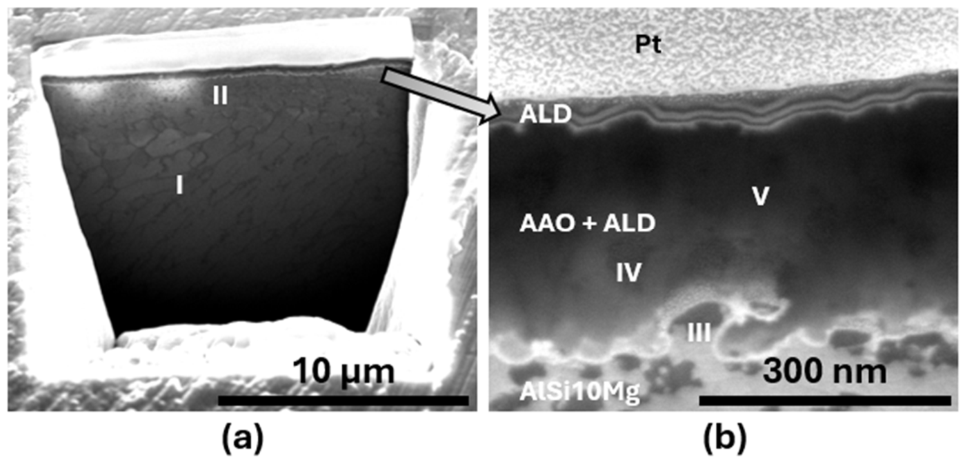 Microscope For Microstructure Nanostructured Coating for Additively Manufactured AlSi10Mg Alloy