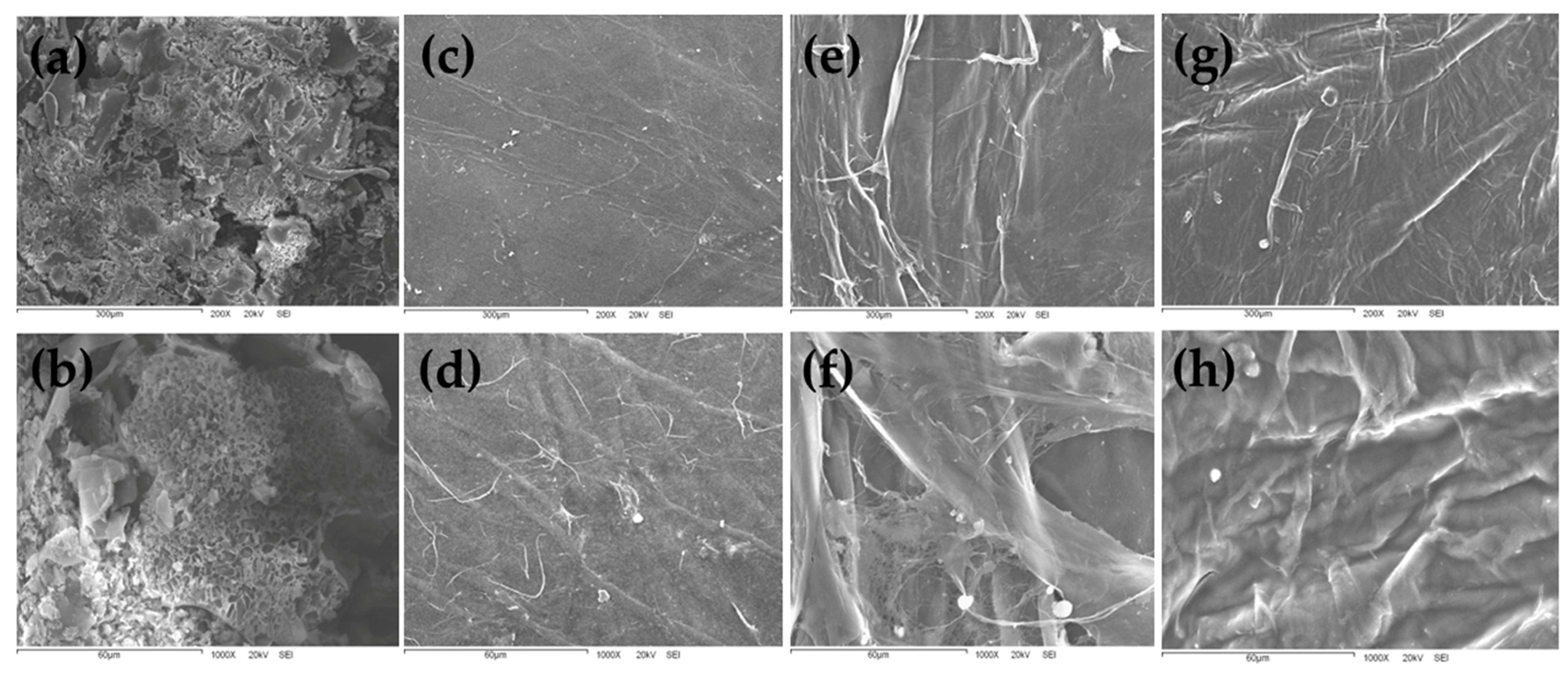 Coatings 16 01236 g003 Coatings 16 01236 g003