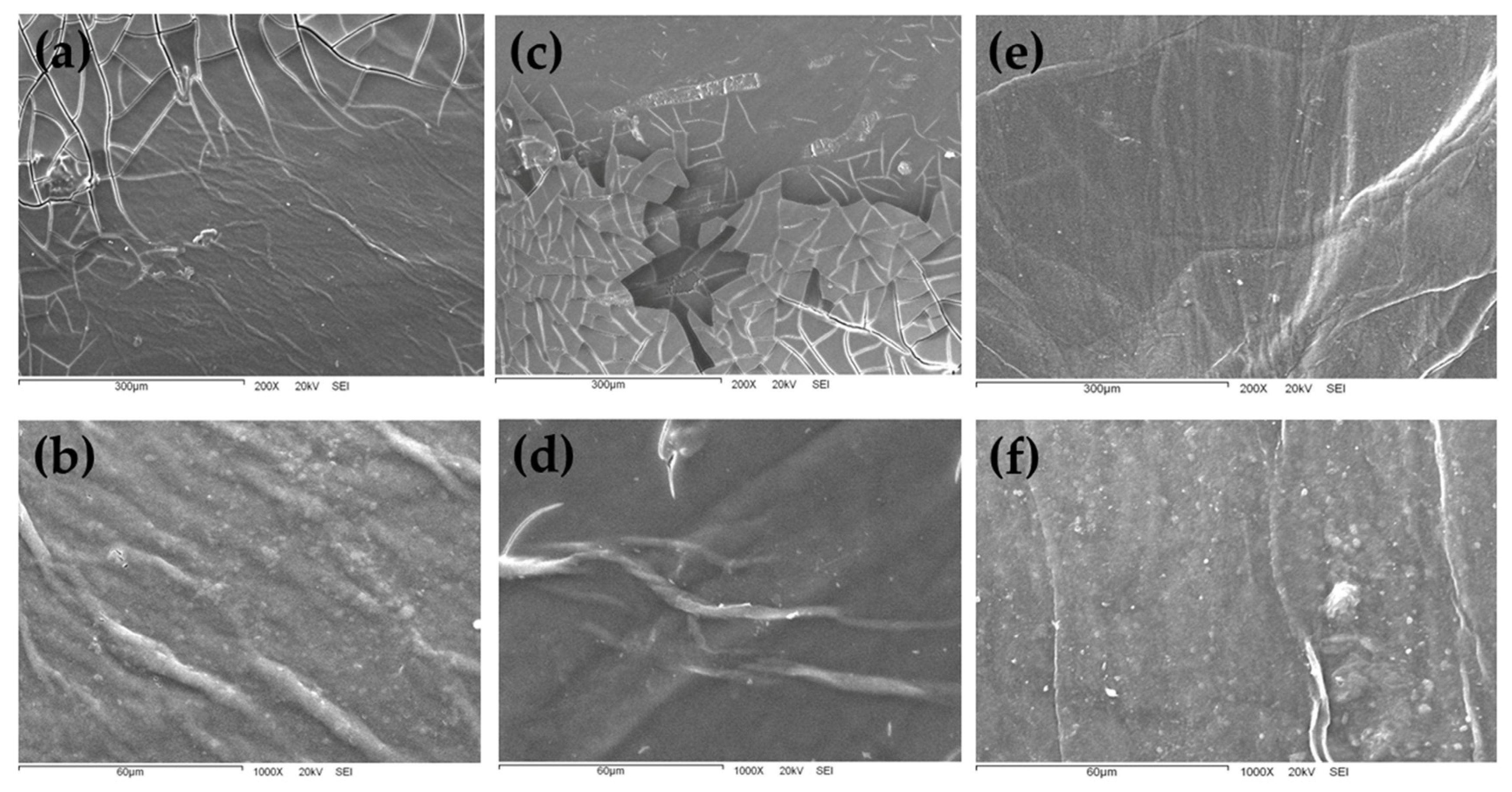 Coatings 16 01236 g004 Coatings 16 01236 g004