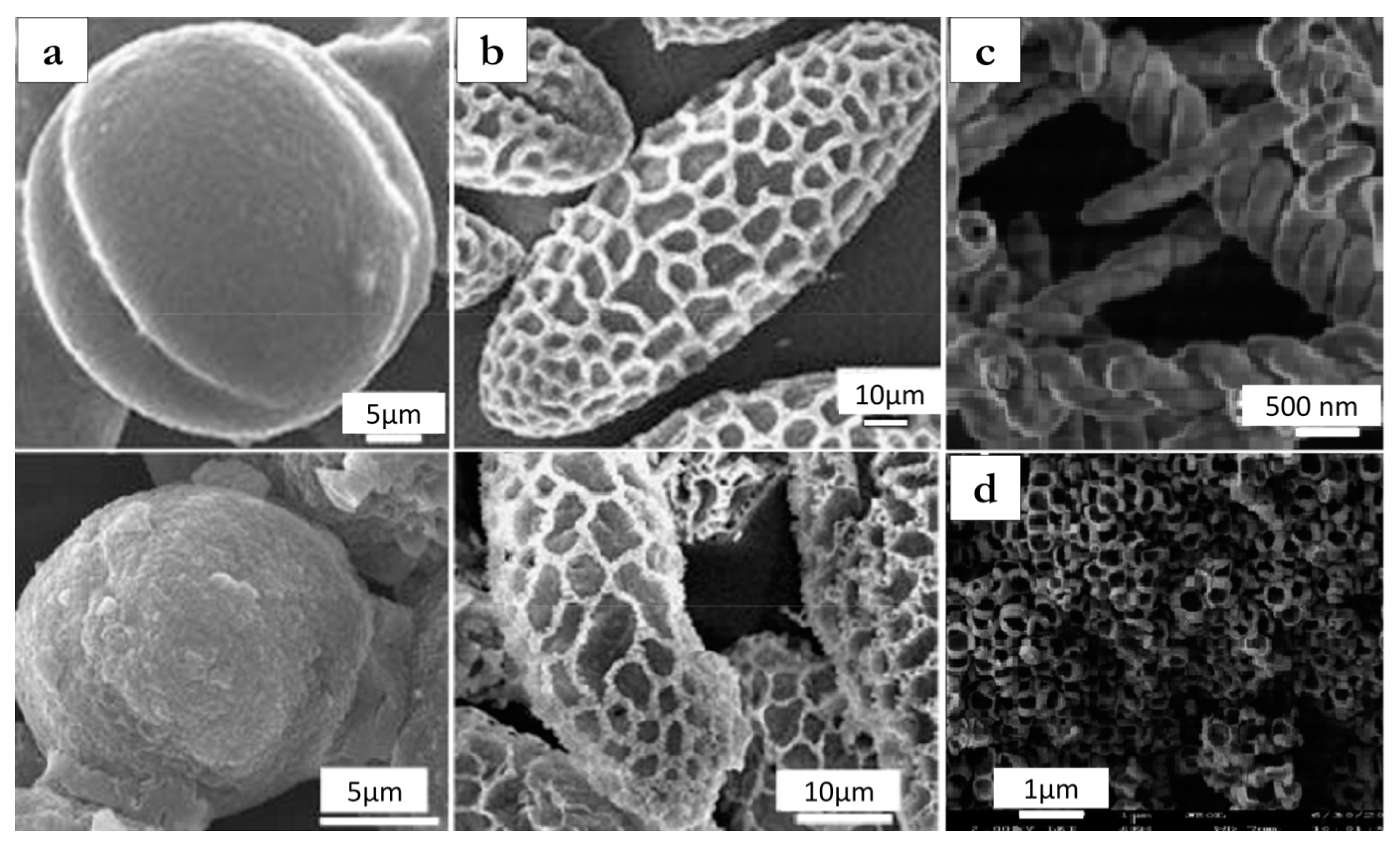 Colloids 01 00005 g003