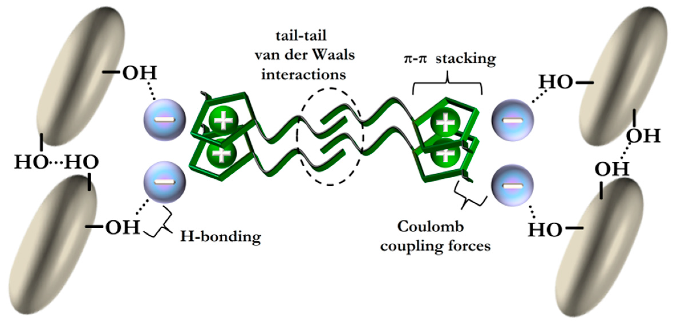 Colloids 01 00005 g004