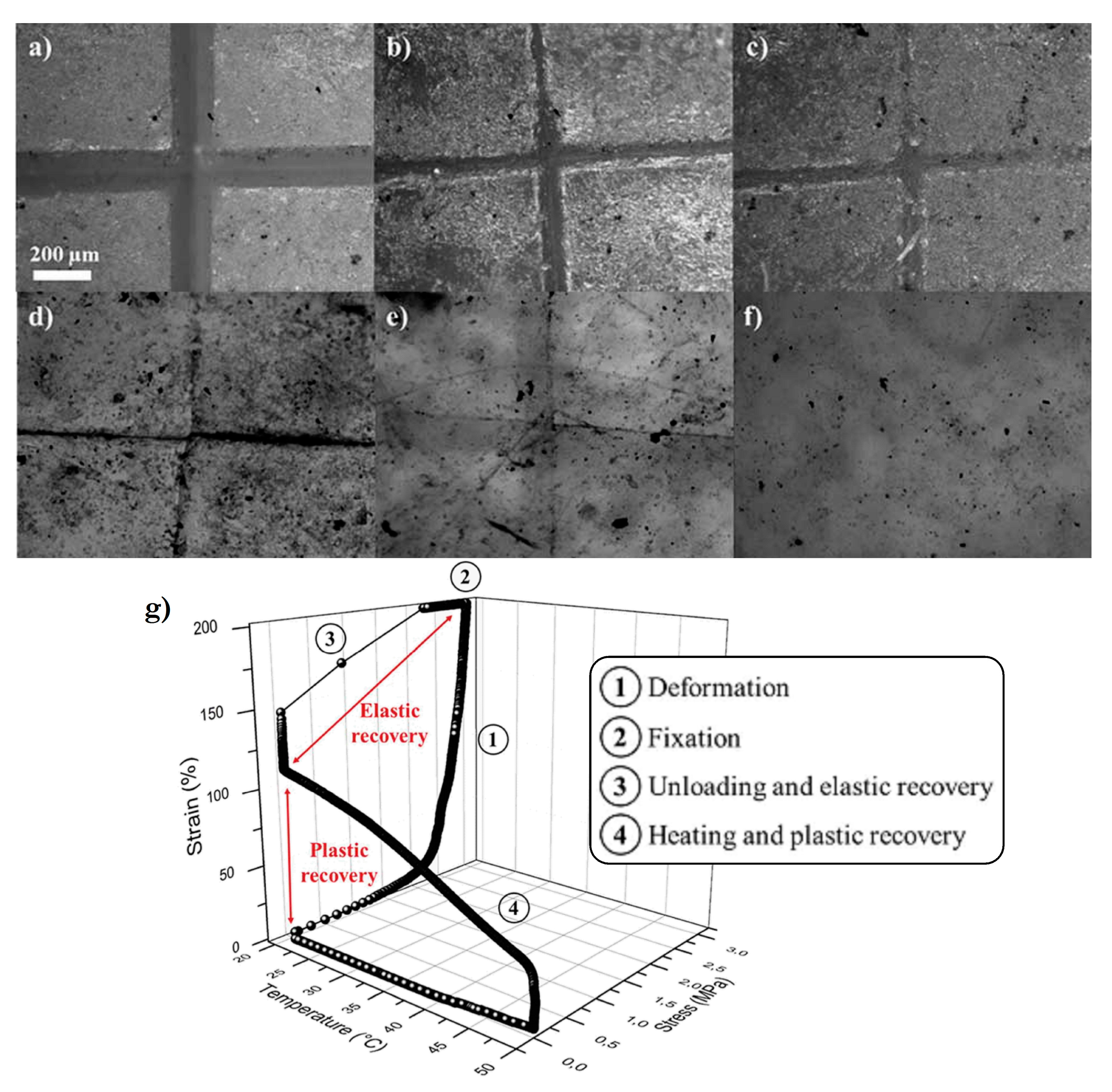 Colloids 01 00005 g011