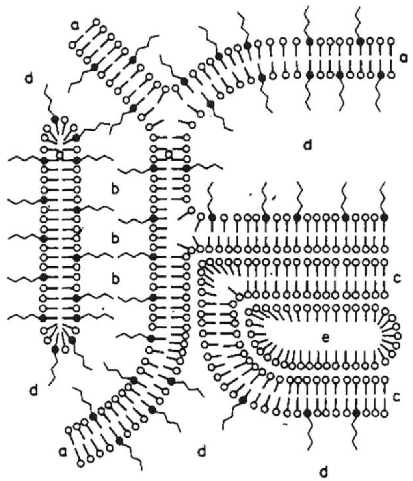 Colloids 02 00003 g001