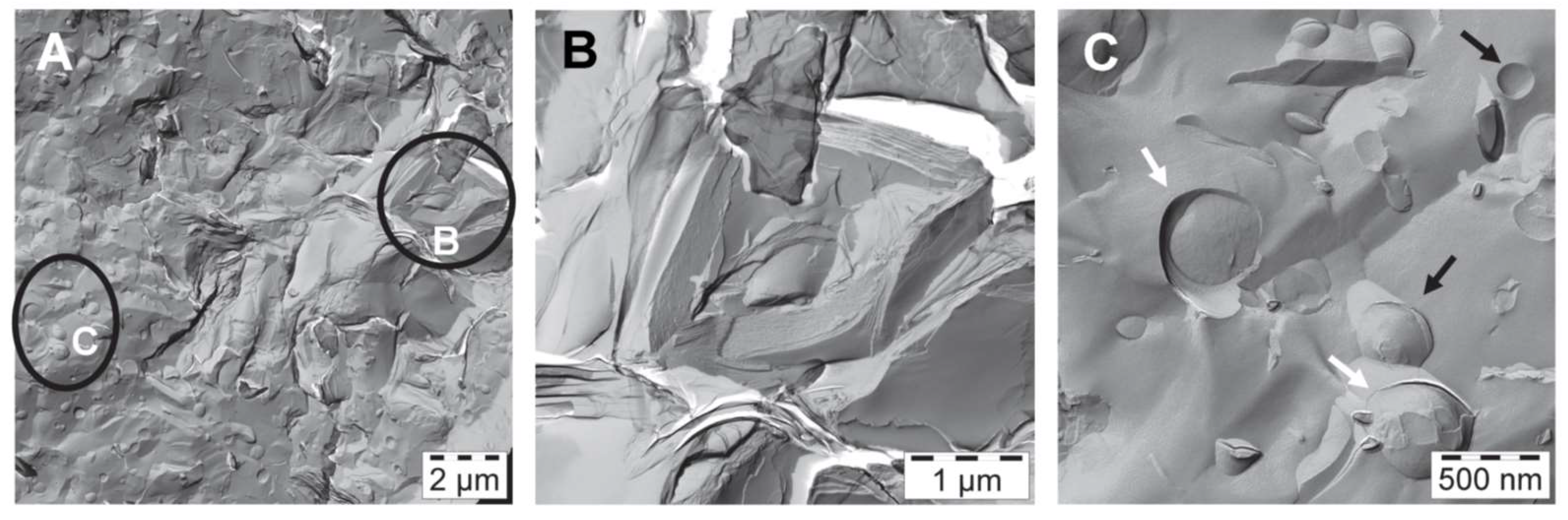 Colloids 02 00003 g004