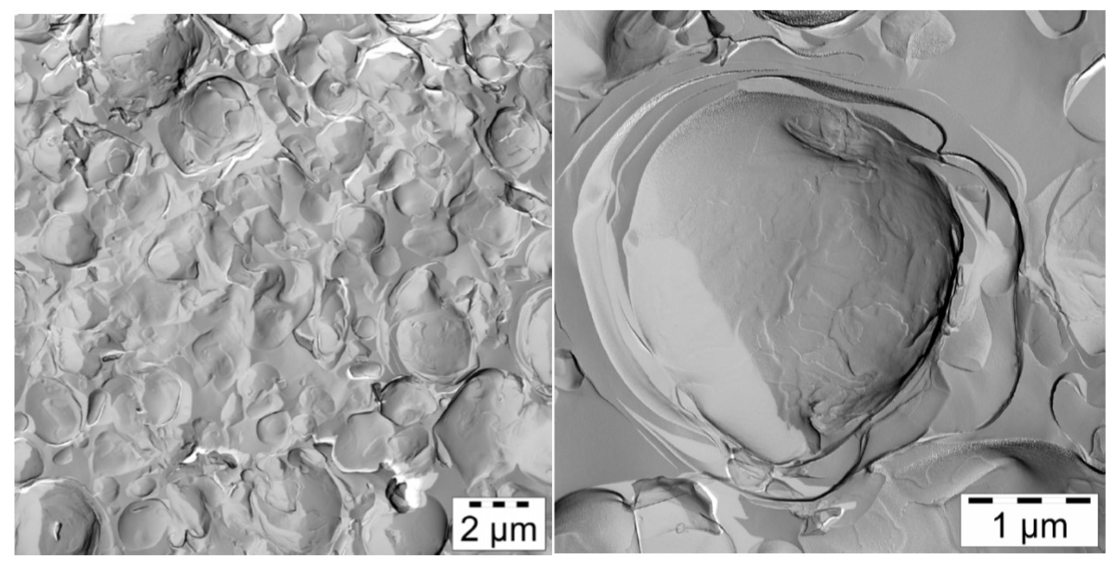 Colloids 02 00003 g013