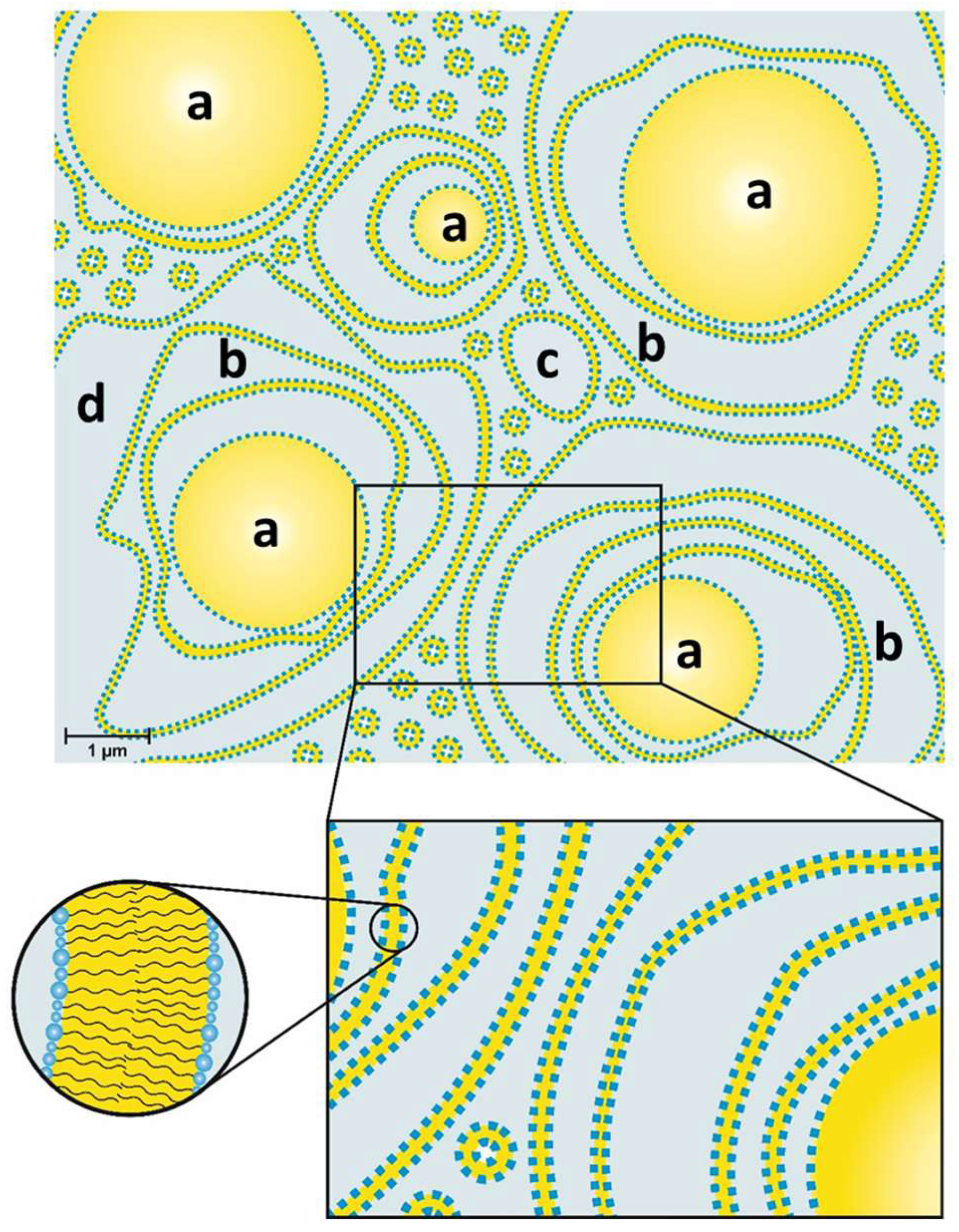 Colloids 02 00003 g014
