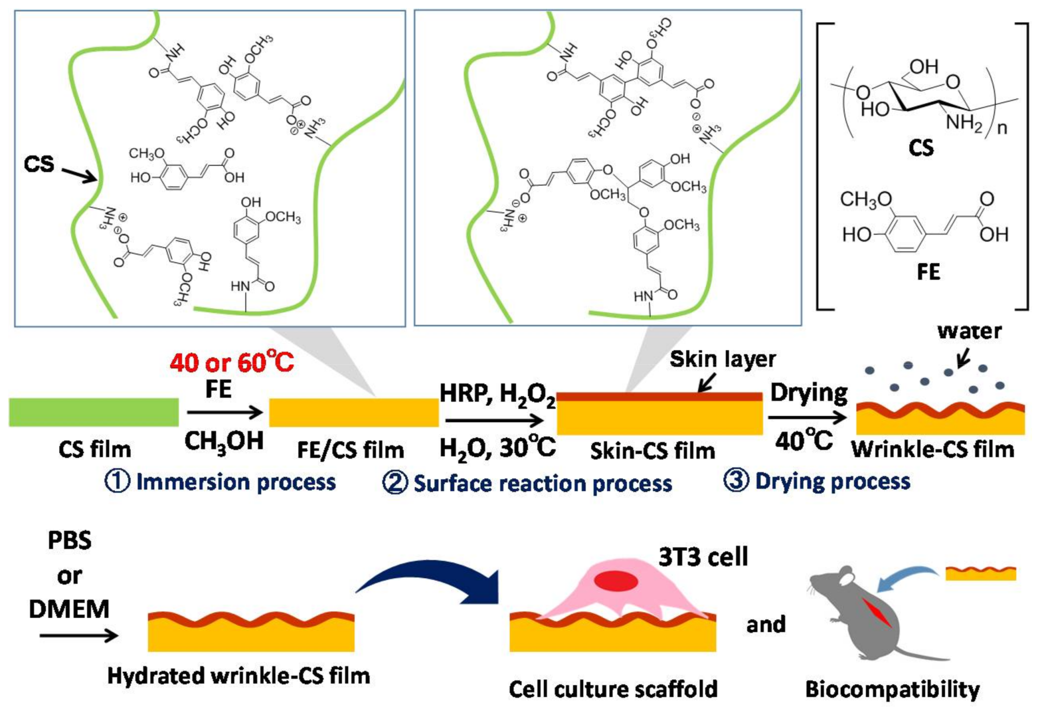 Colloids 02 00015 g001