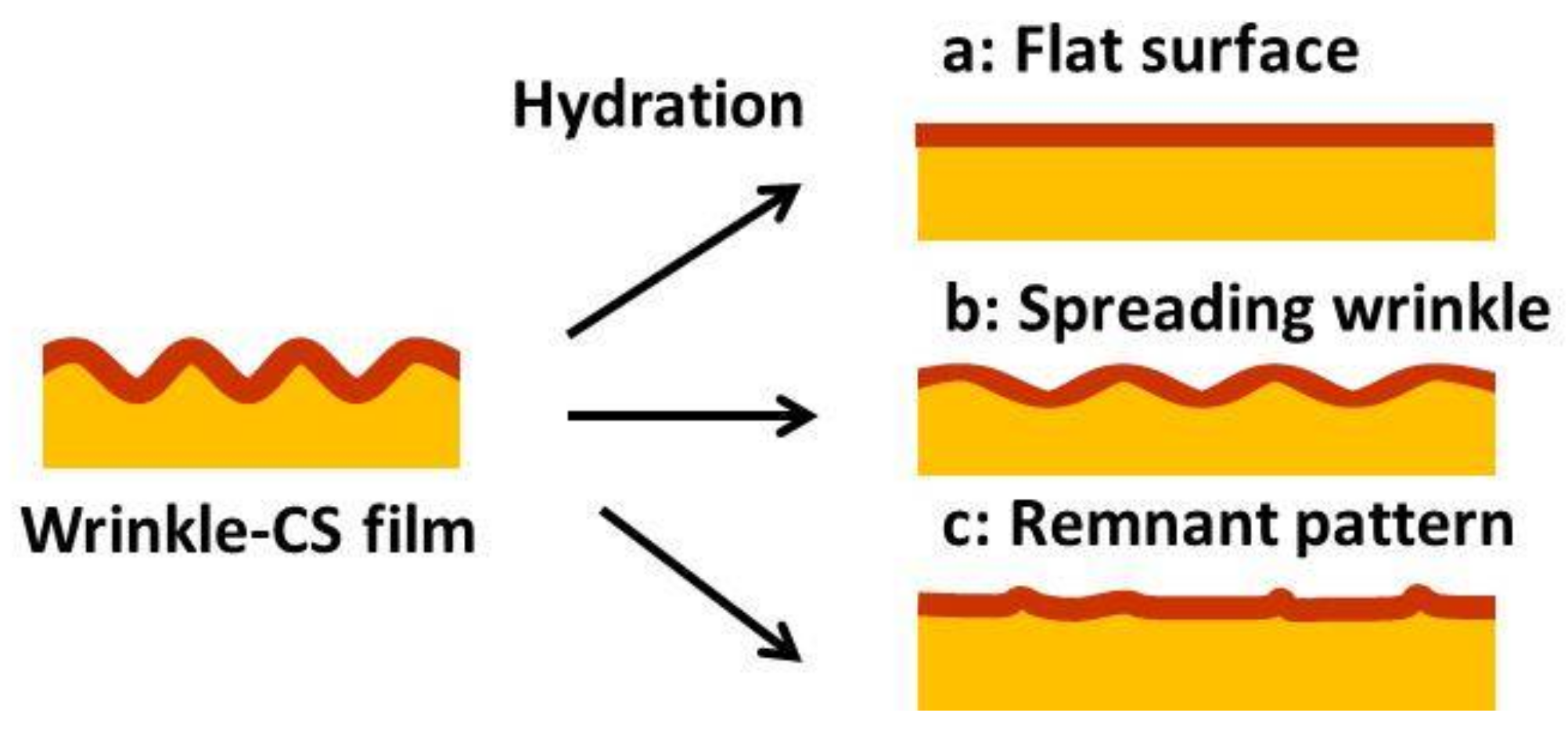 Colloids 02 00015 g004