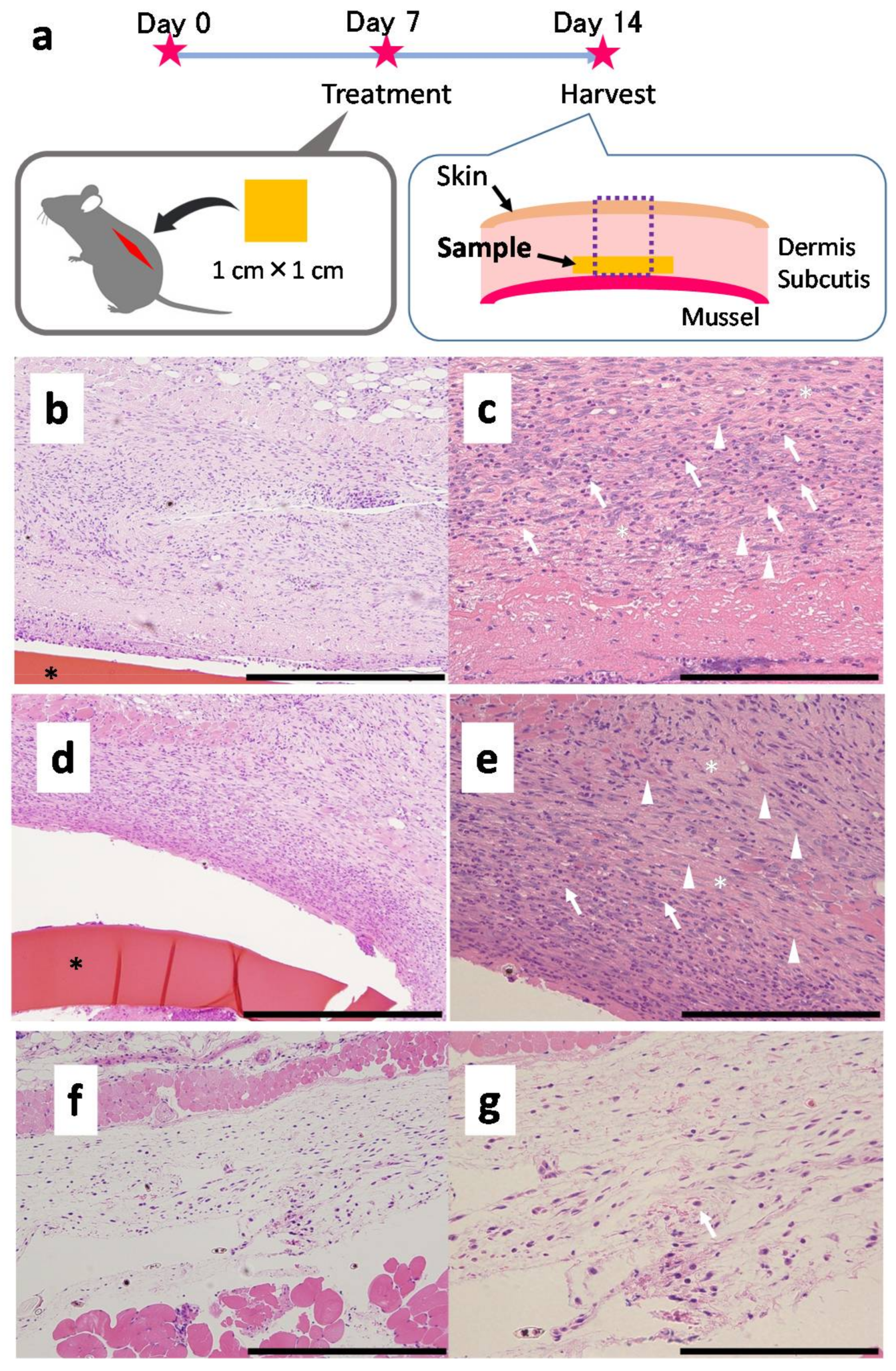 Colloids 02 00015 g006