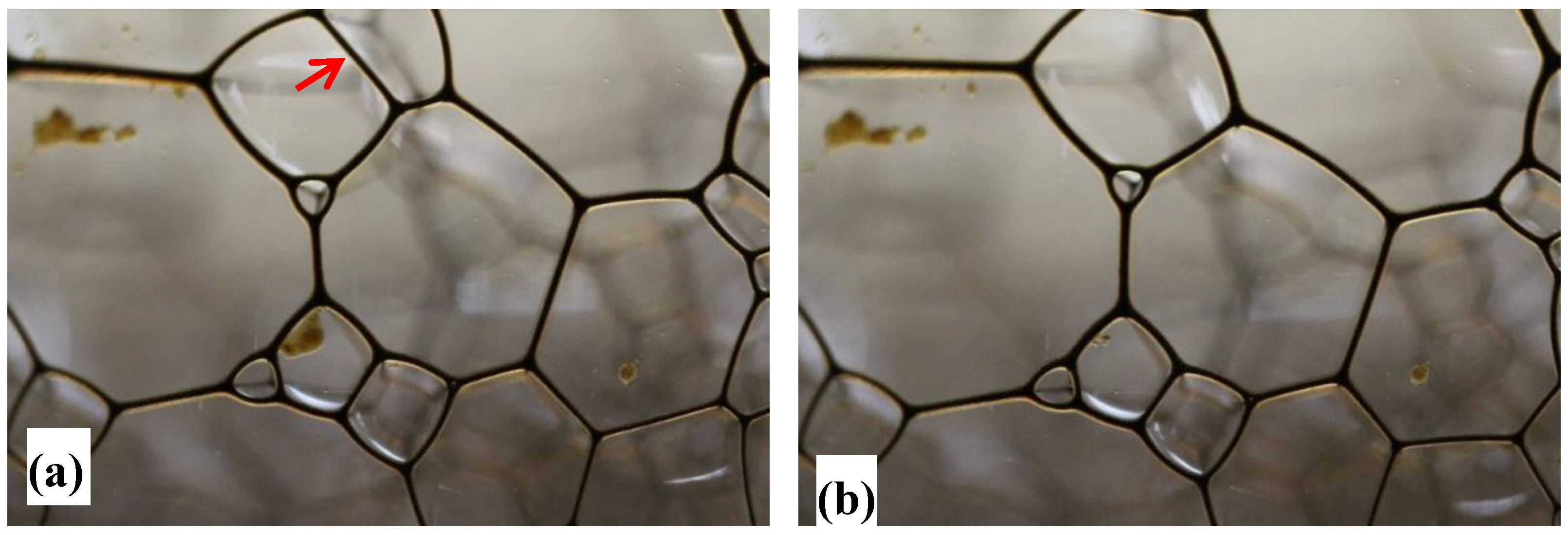 Colloids 02 00038 g006