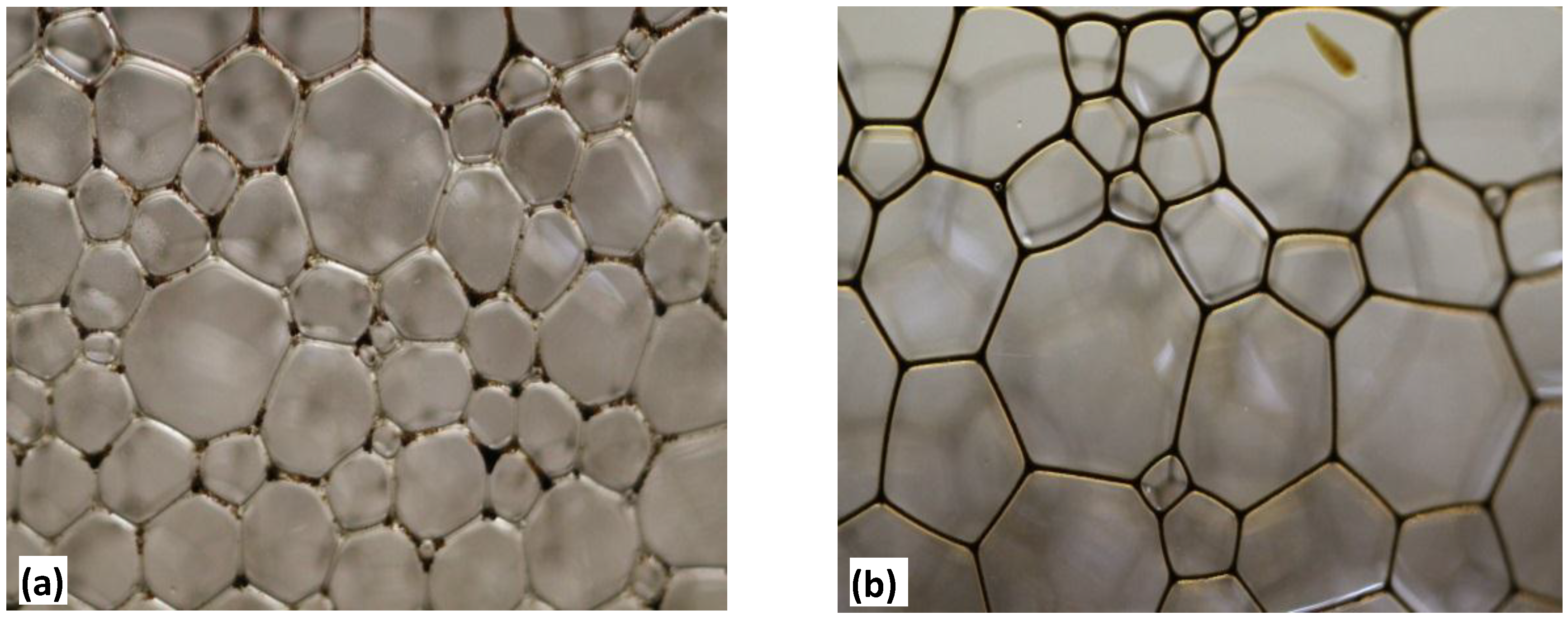 Colloids 02 00038 g007