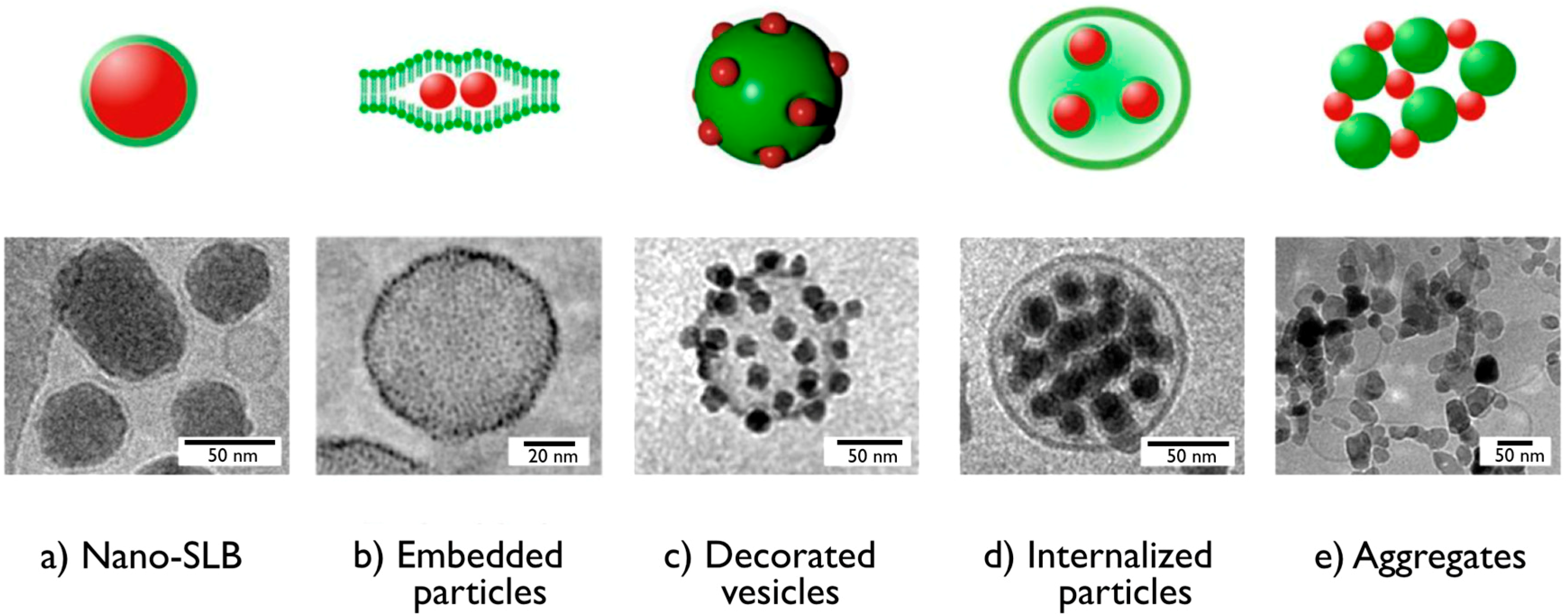 Colloids 02 00050 g001 Colloids 02 00050 g001