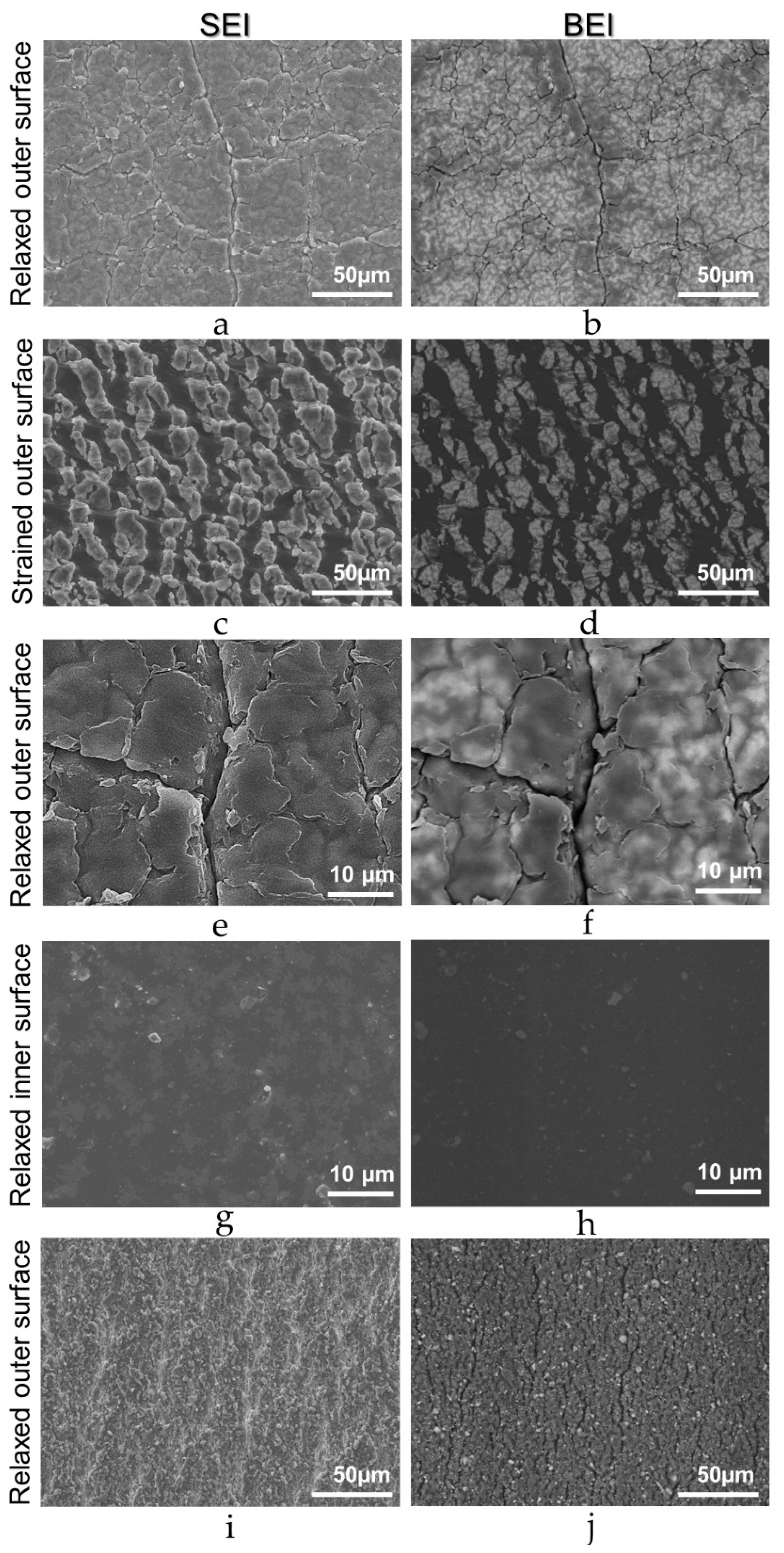 Colloids 02 00055 g003