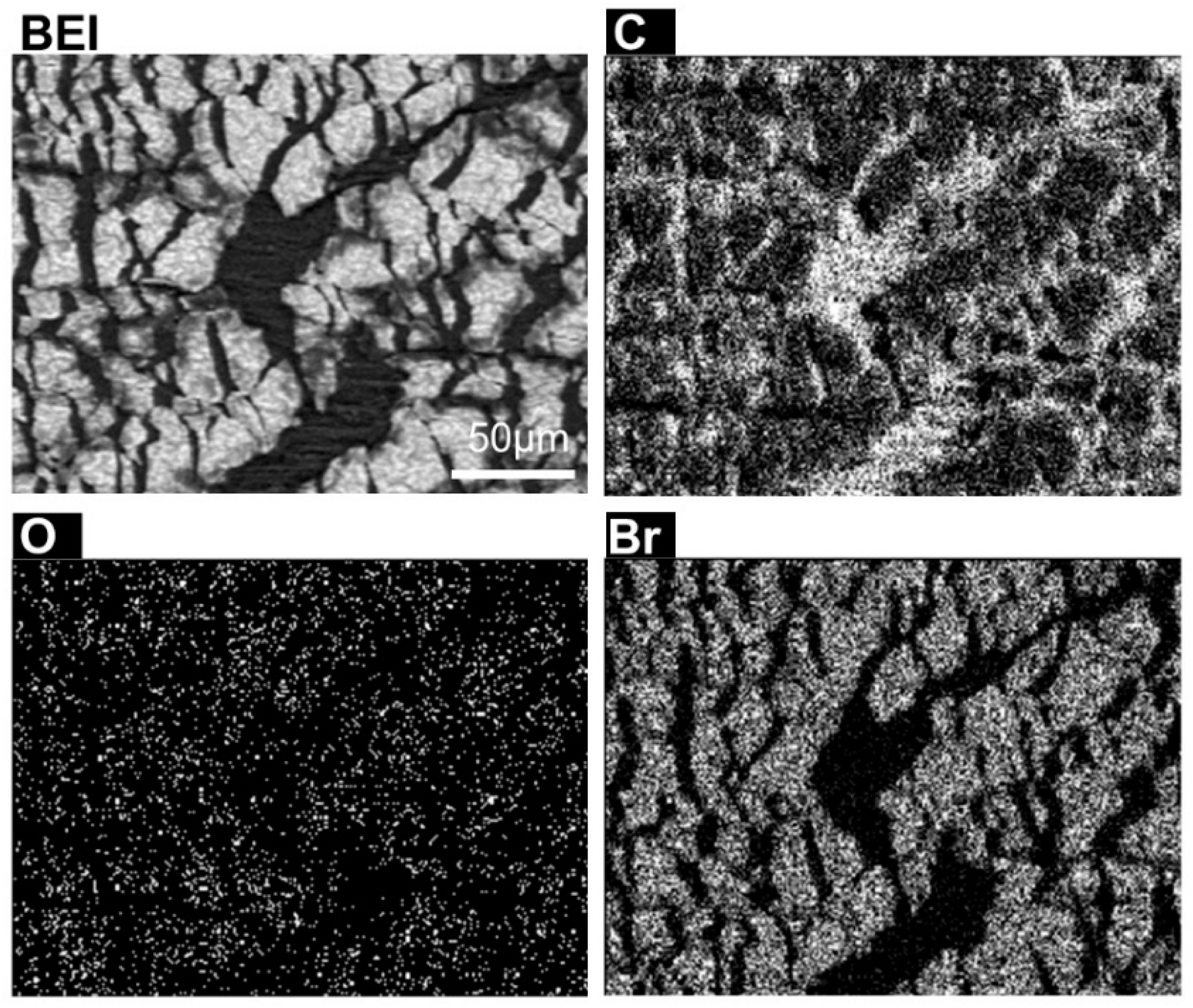 Colloids 02 00055 g005