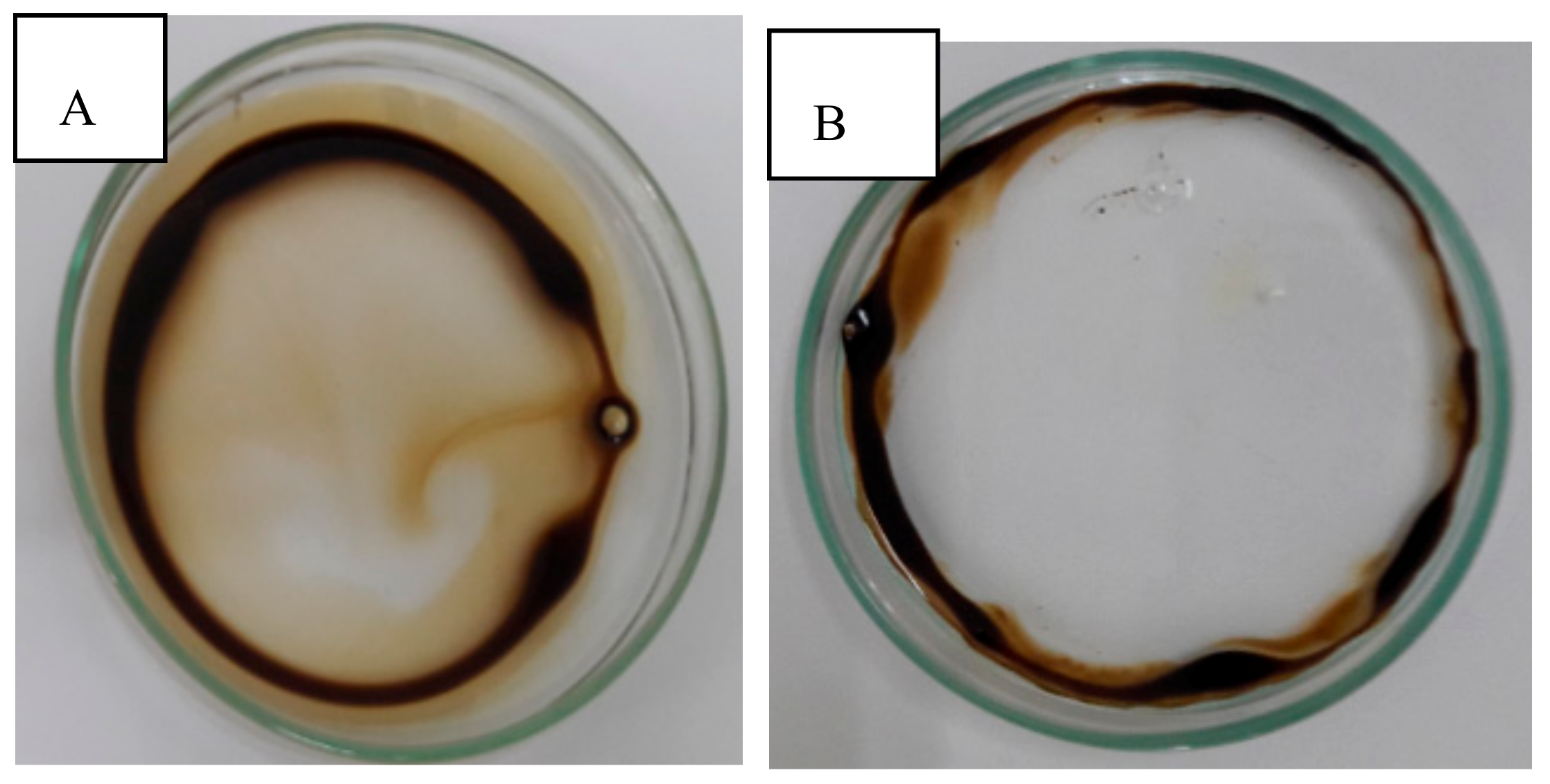 Colloids 02 00058 g005