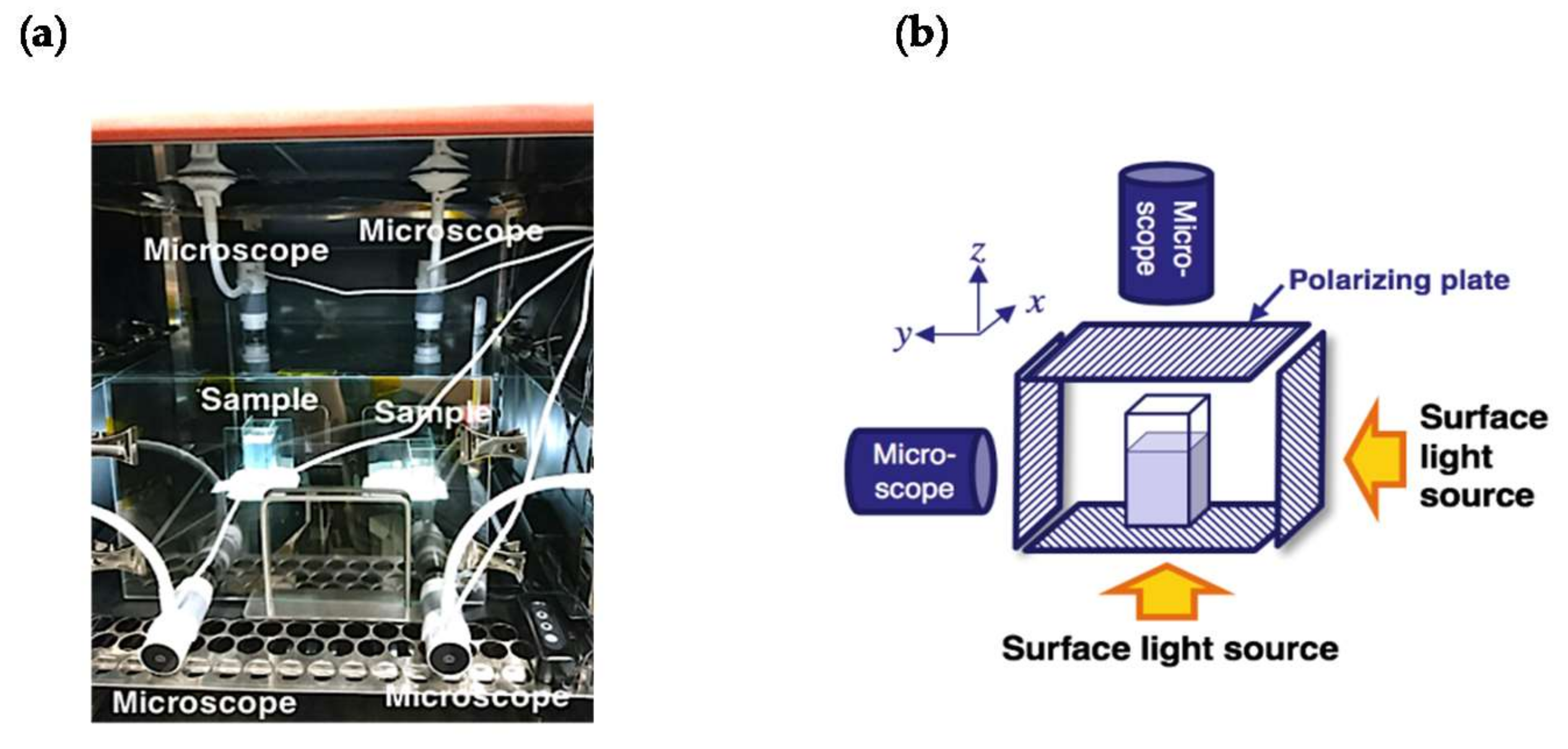Colloids 02 00071 g001