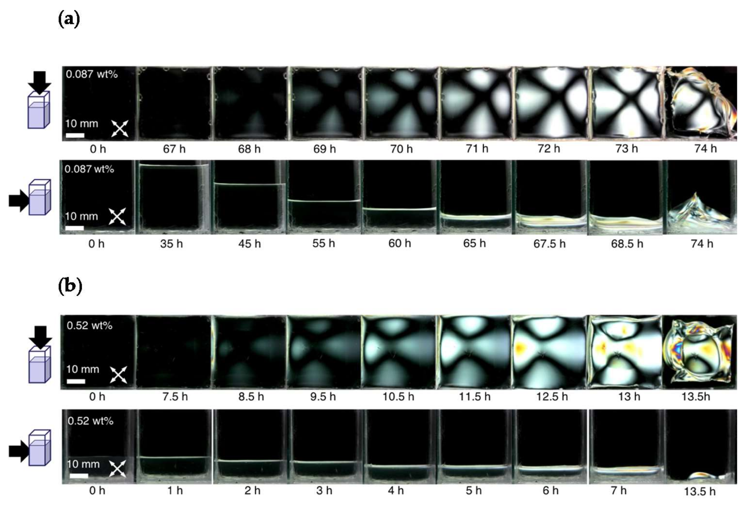 Colloids 02 00071 g002