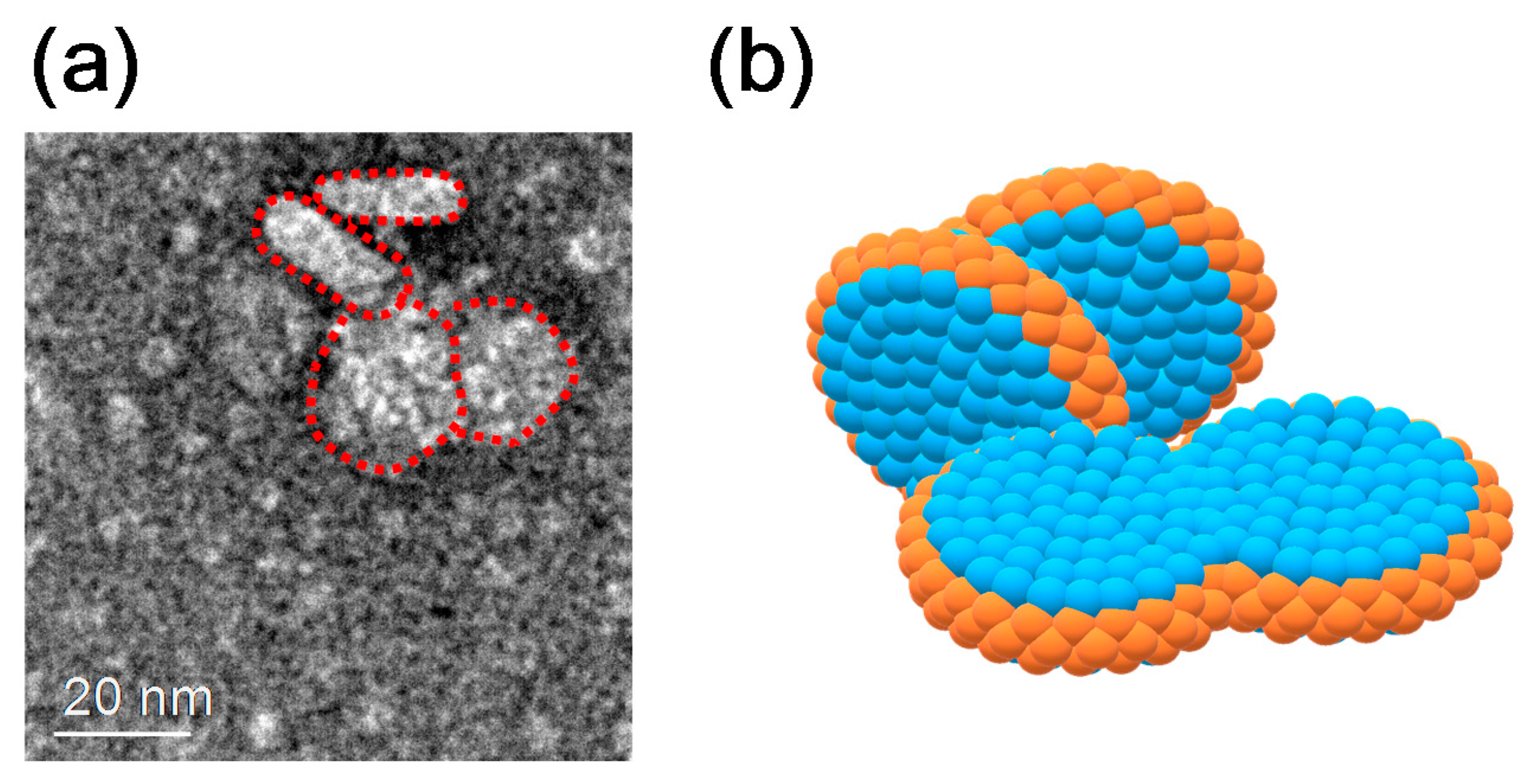 Colloids 02 00073 g008