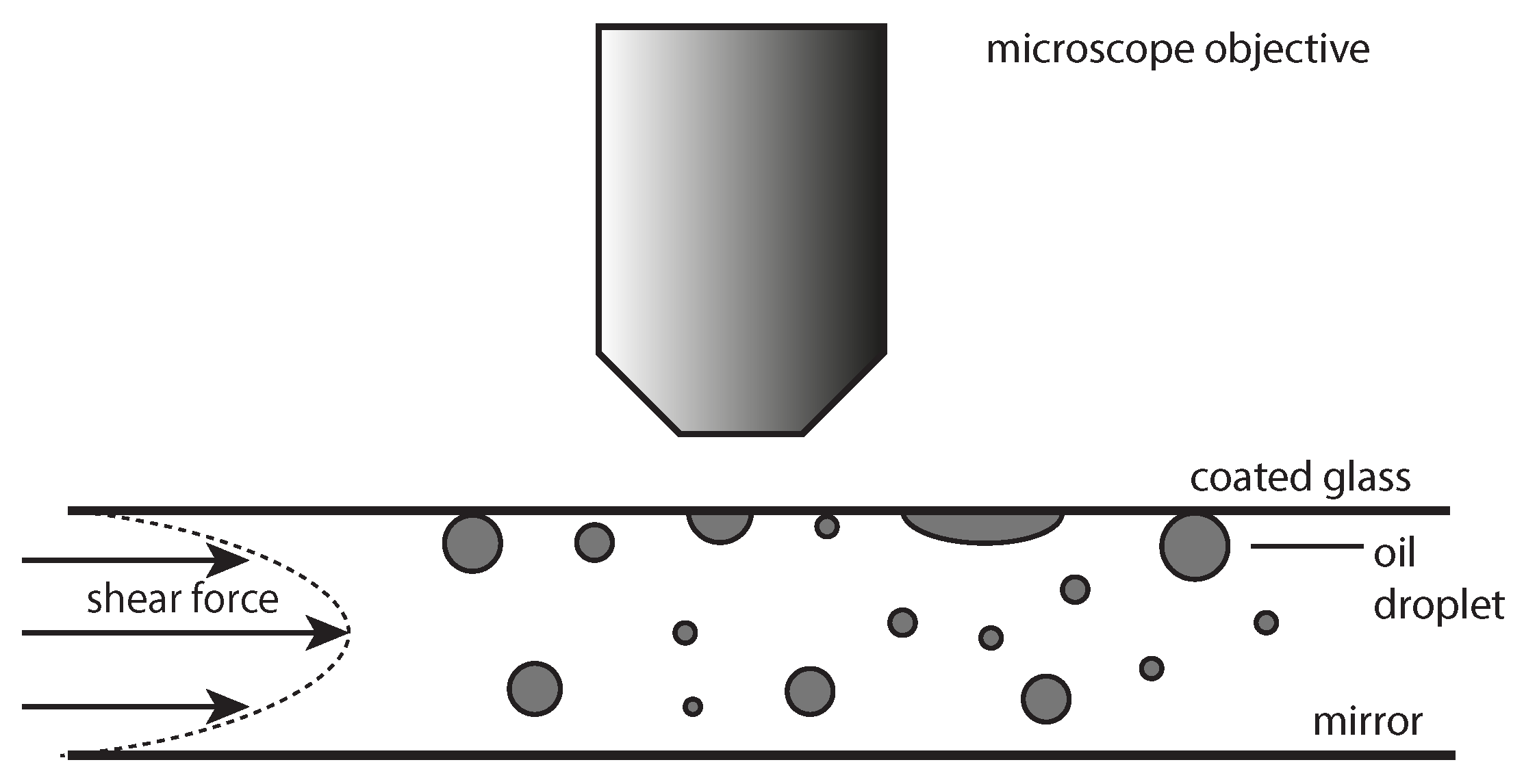 Colloids 03 00009 g001