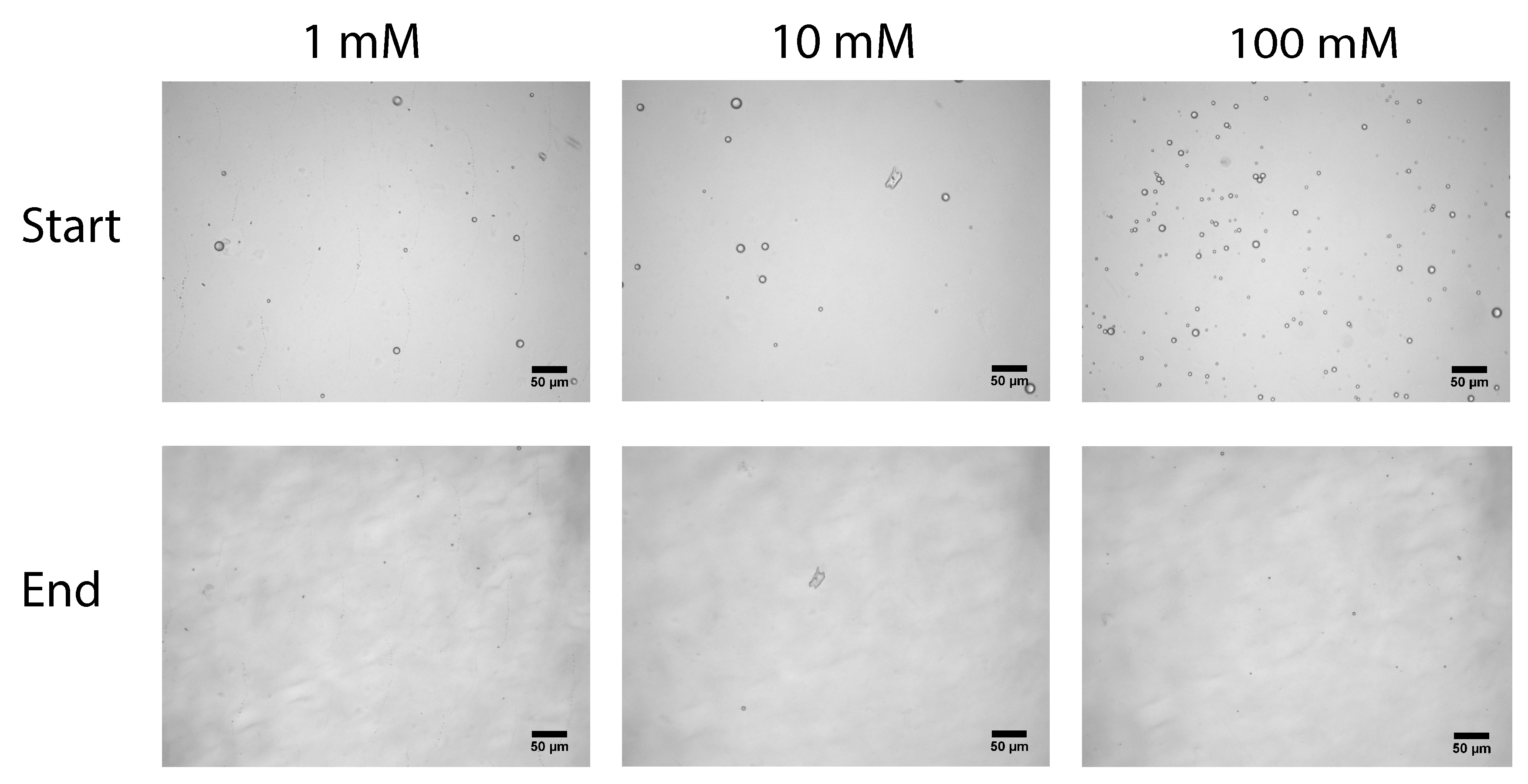 Colloids 03 00009 g005