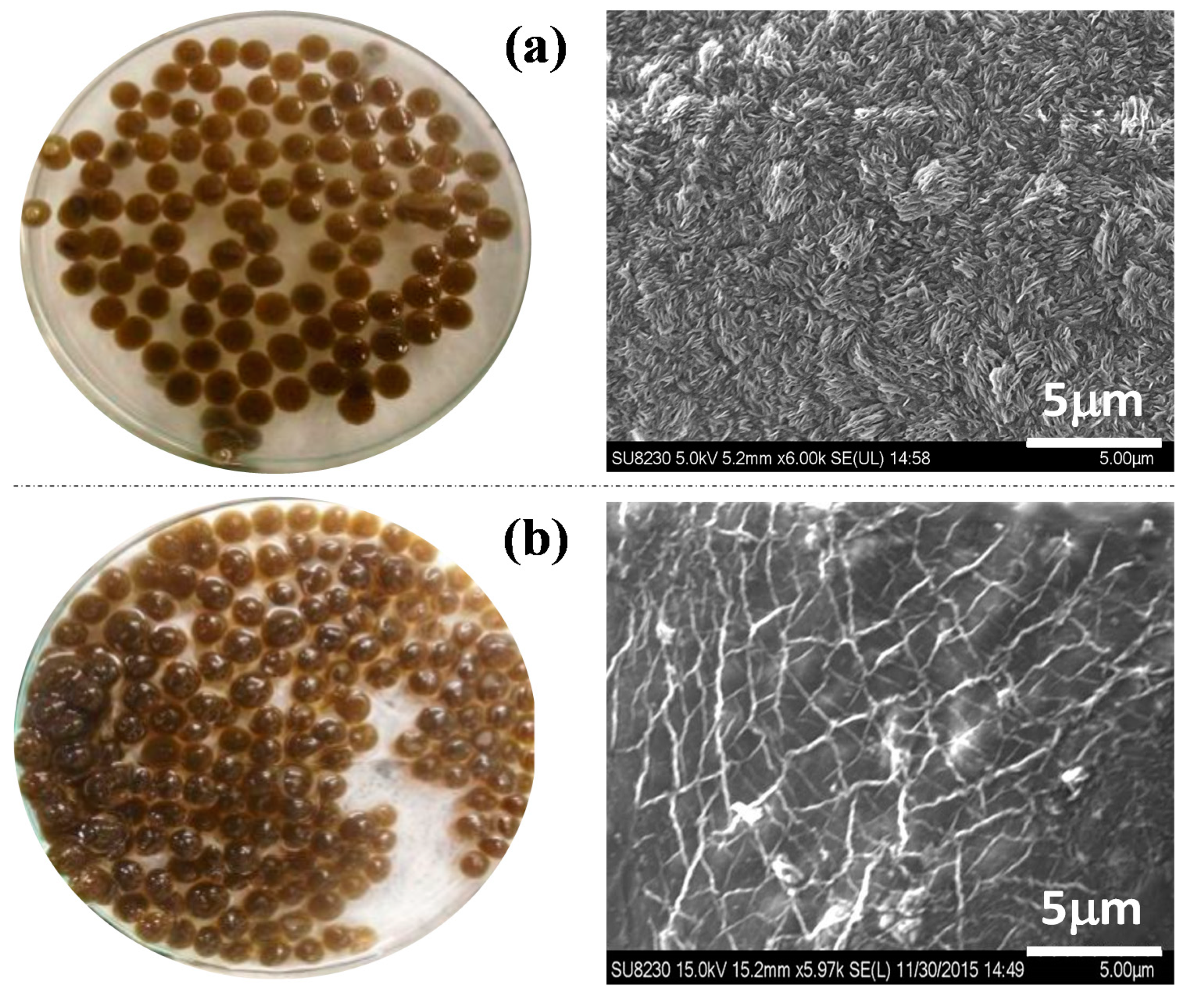 Colloids 03 00017 g005 Colloids 03 00017 g005
