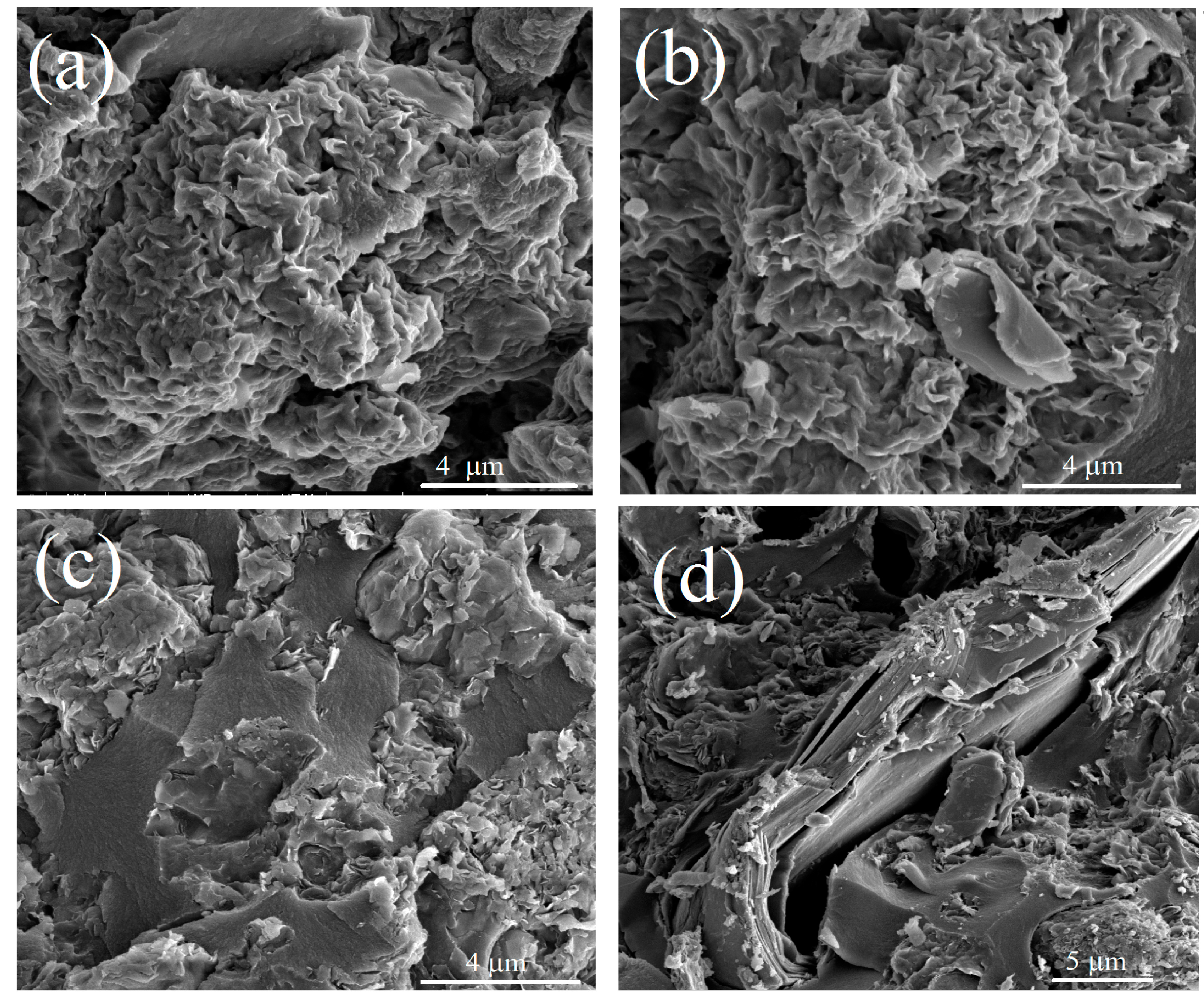 Colloids 03 00018 g002