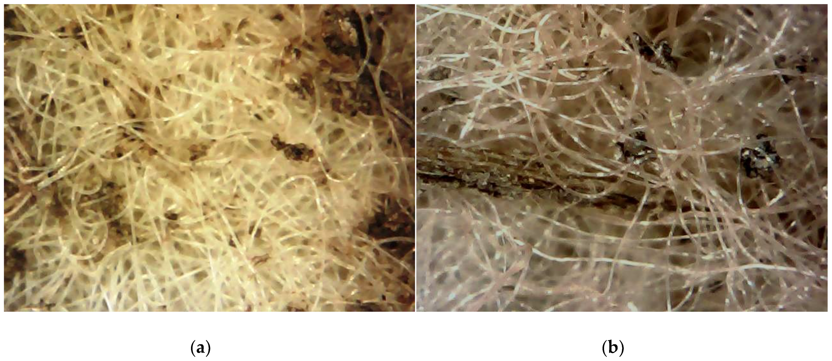 Colloids 03 00021 g001