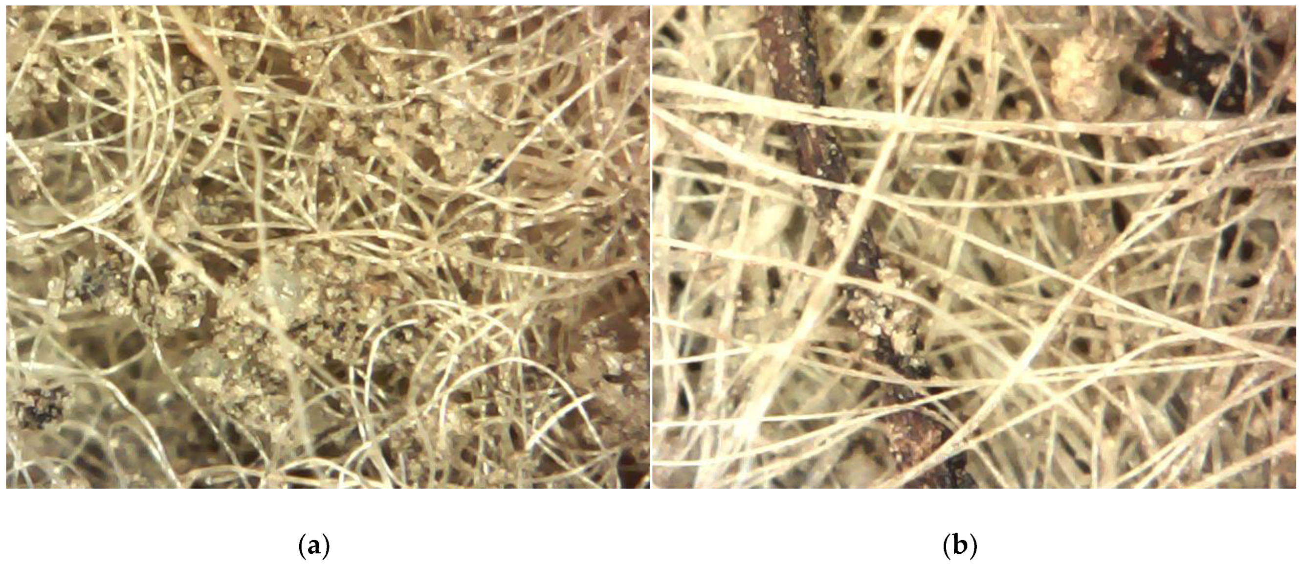 Colloids 03 00021 g002