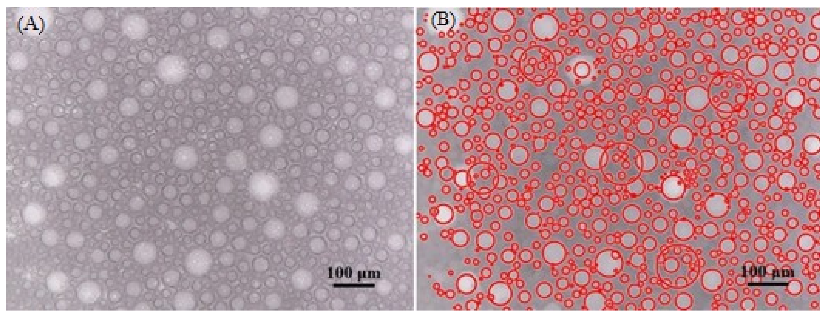 Colloids 03 00031 g003