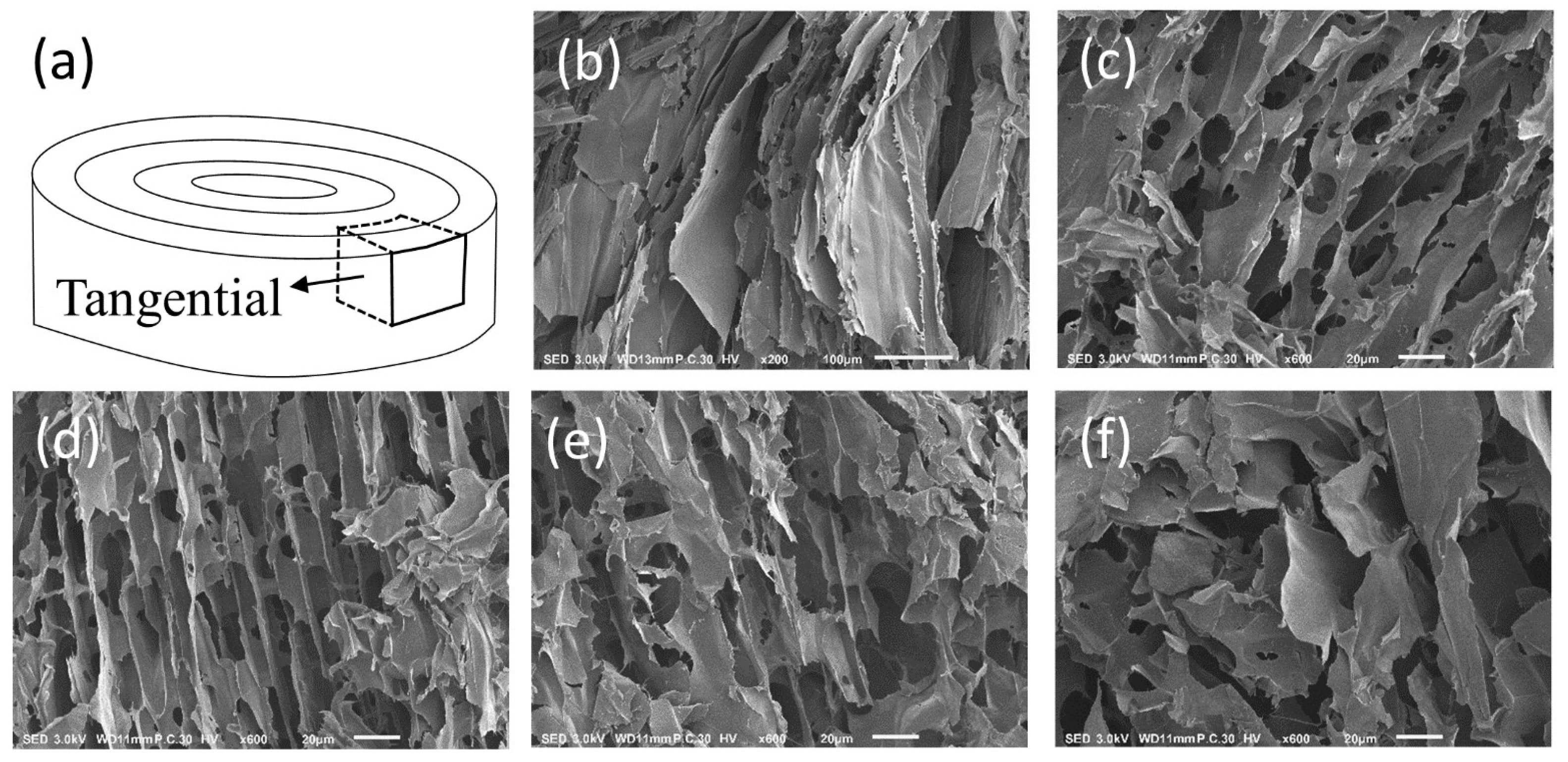 Colloids 03 00046 g004 Colloids 03 00046 g004