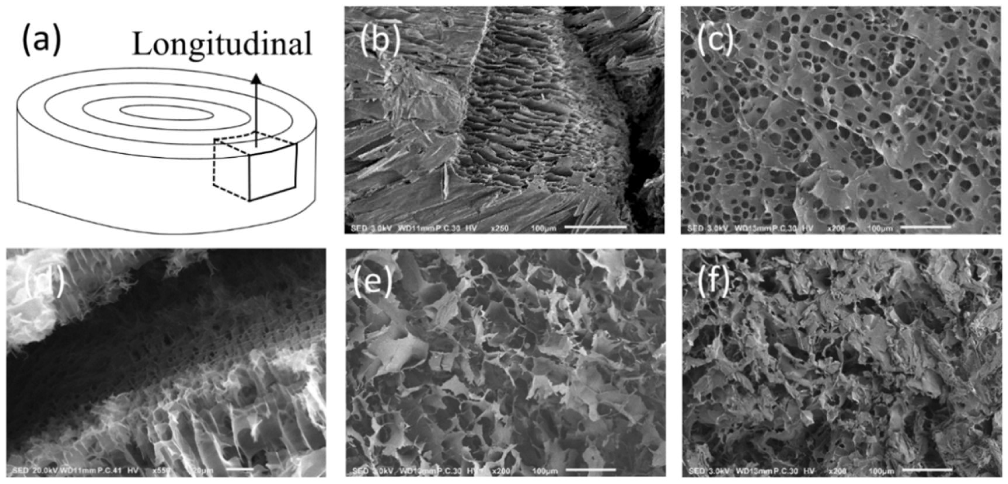 Colloids 03 00046 g005 Colloids 03 00046 g005