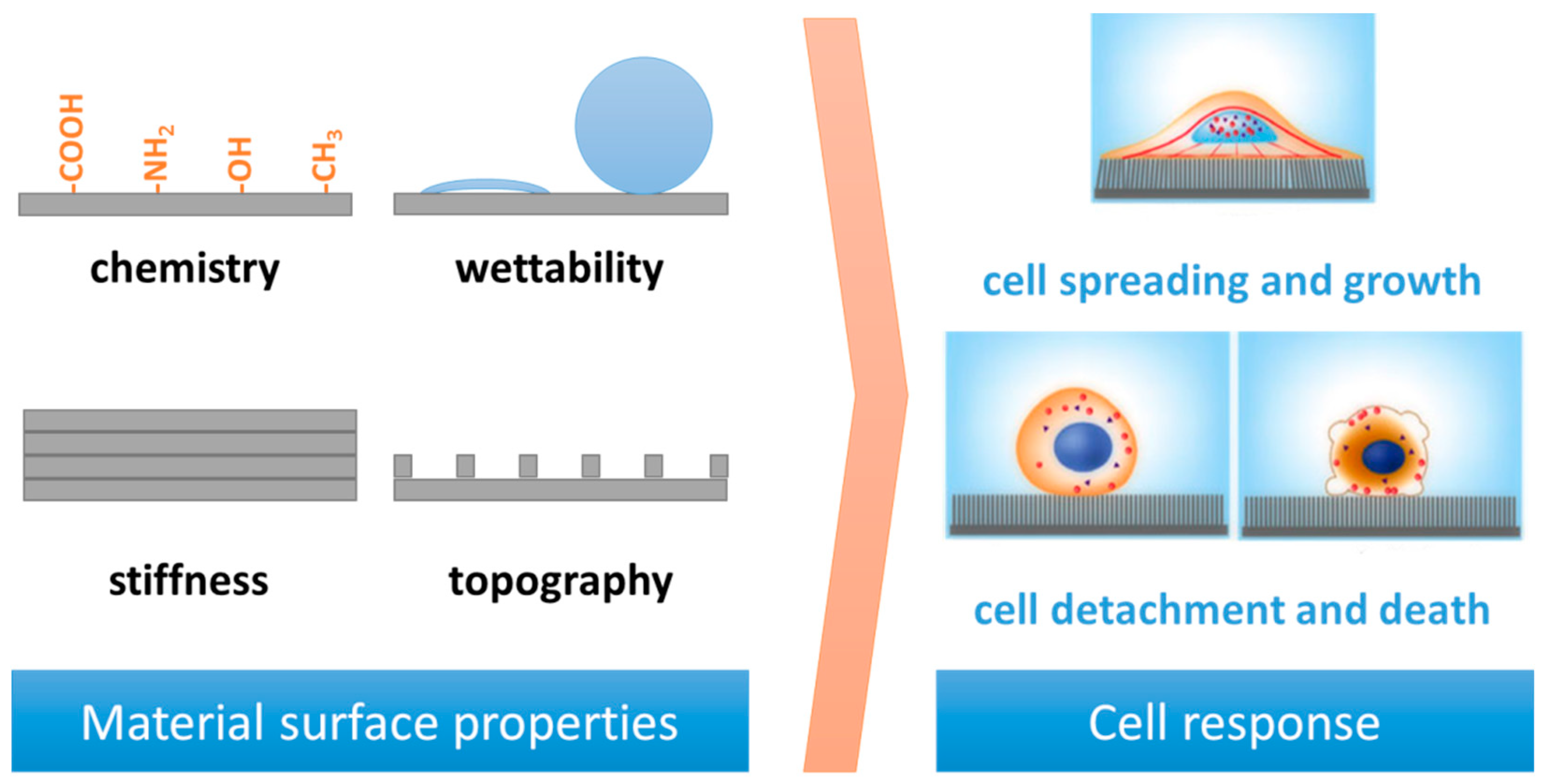 Colloids 03 00048 g001