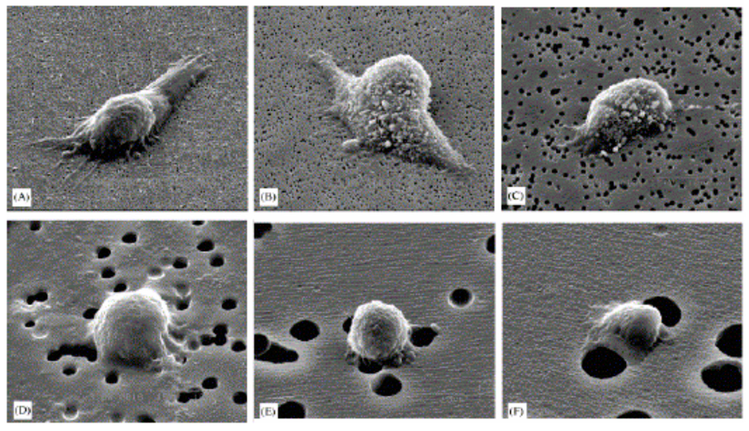 Colloids 03 00048 g003