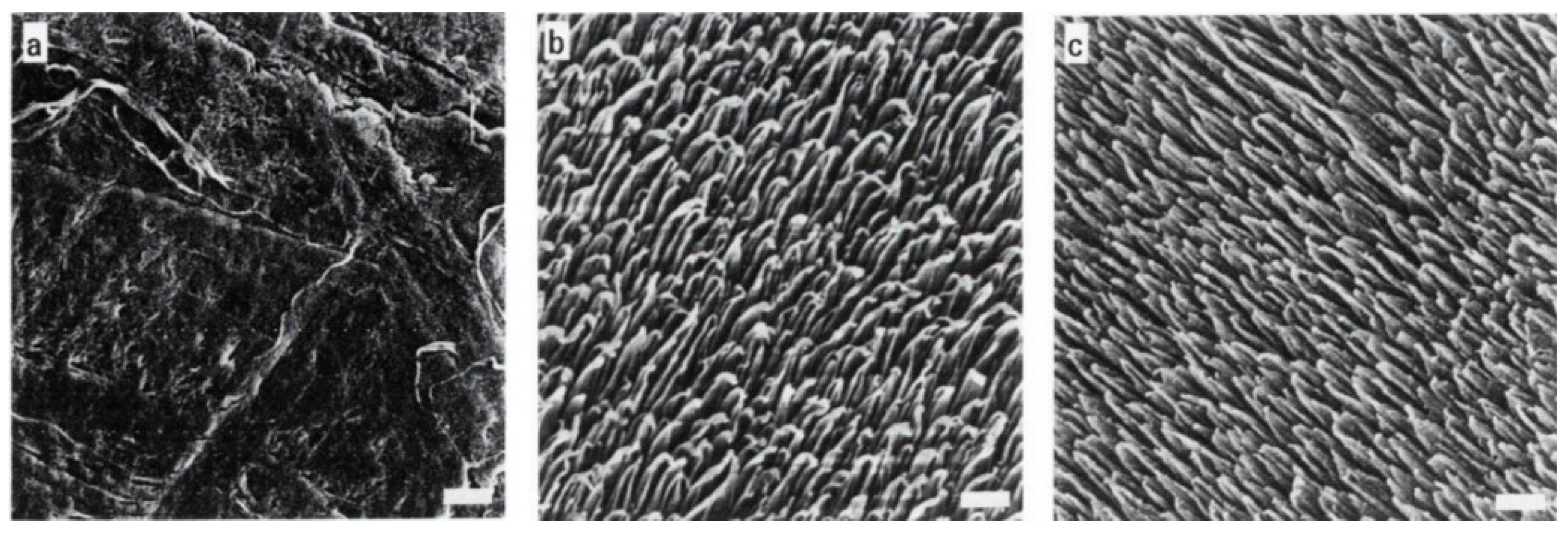 Colloids 03 00048 g005